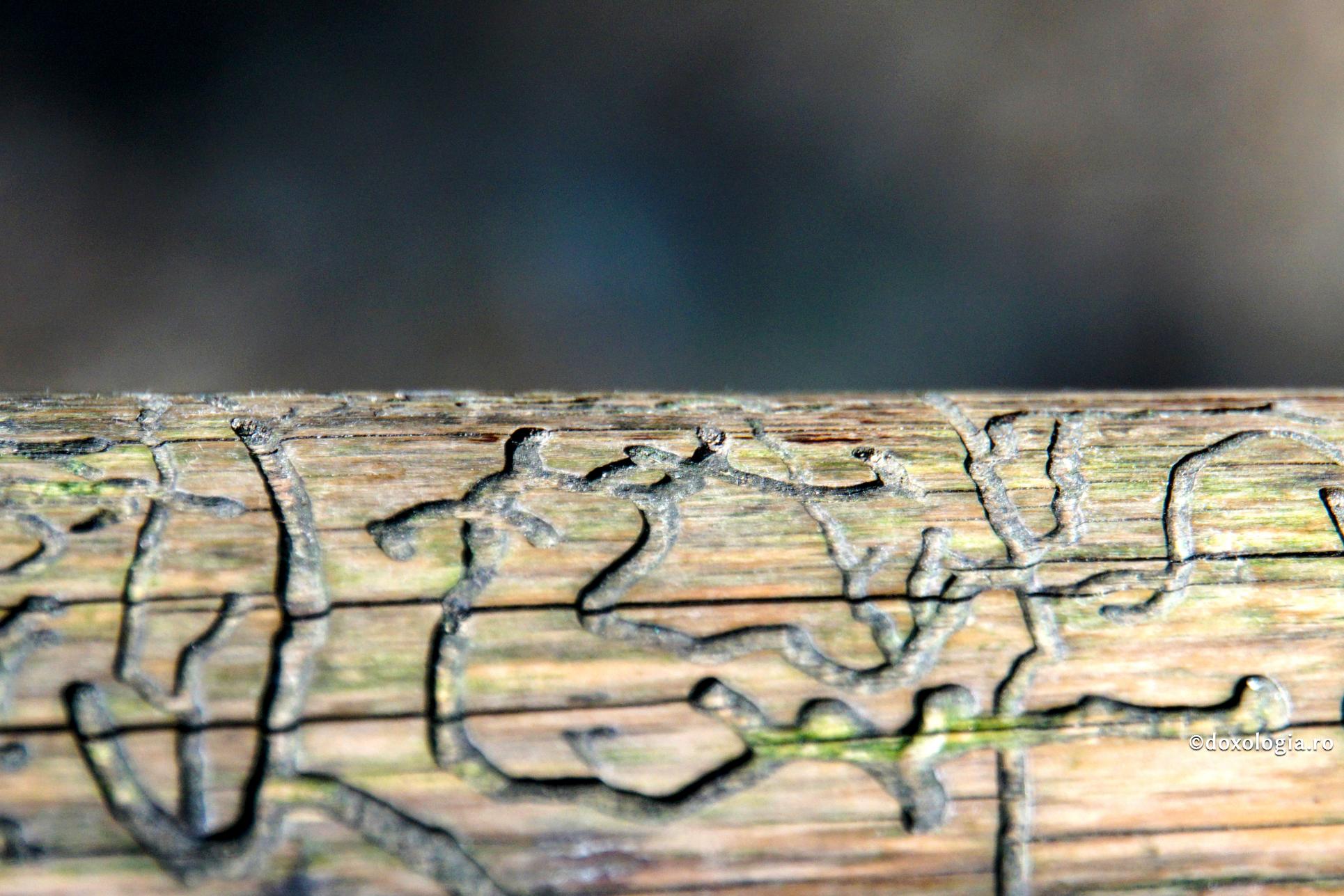 Vorbăria şi pălăvrăgeala arată un lăuntru stricat, care duce la stricarea altora și lipseşte cuvântul de tainica lui putere