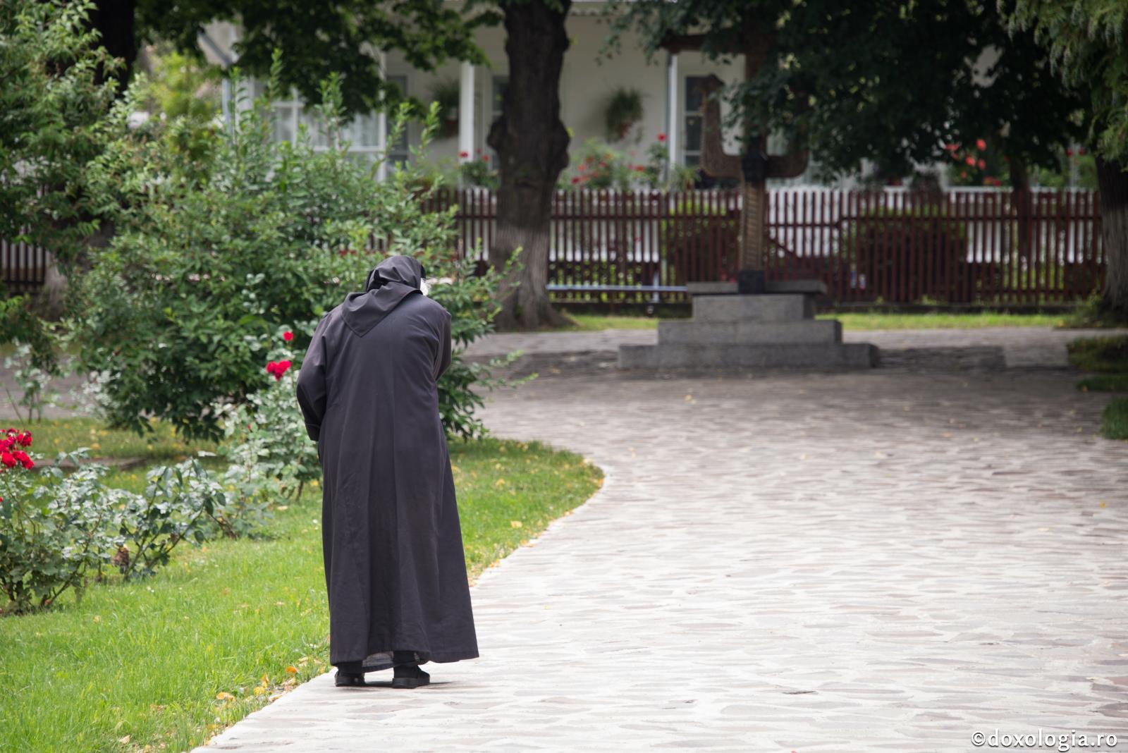 Eu întru nerăutate am umblat