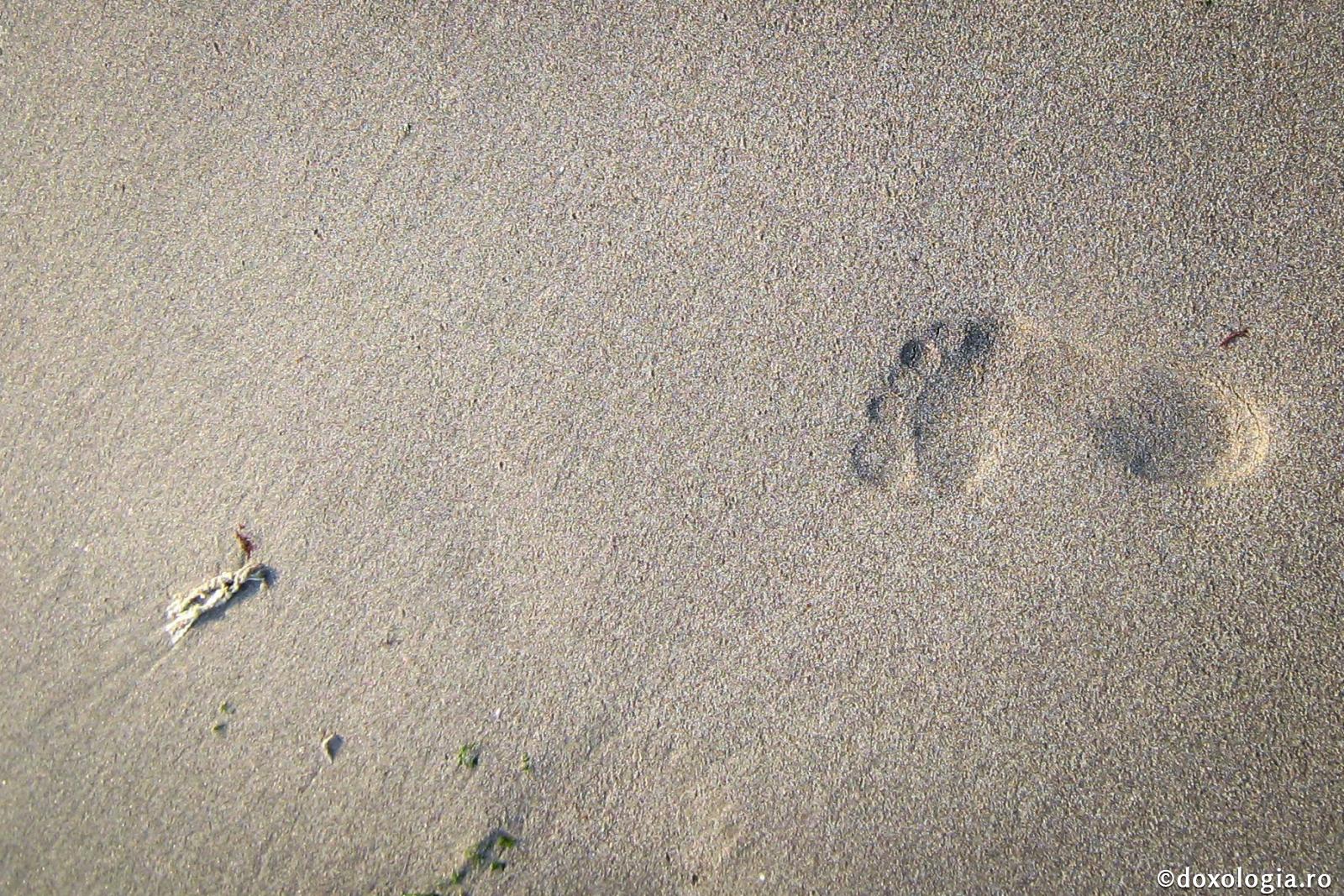 Împotriva nerăbdării