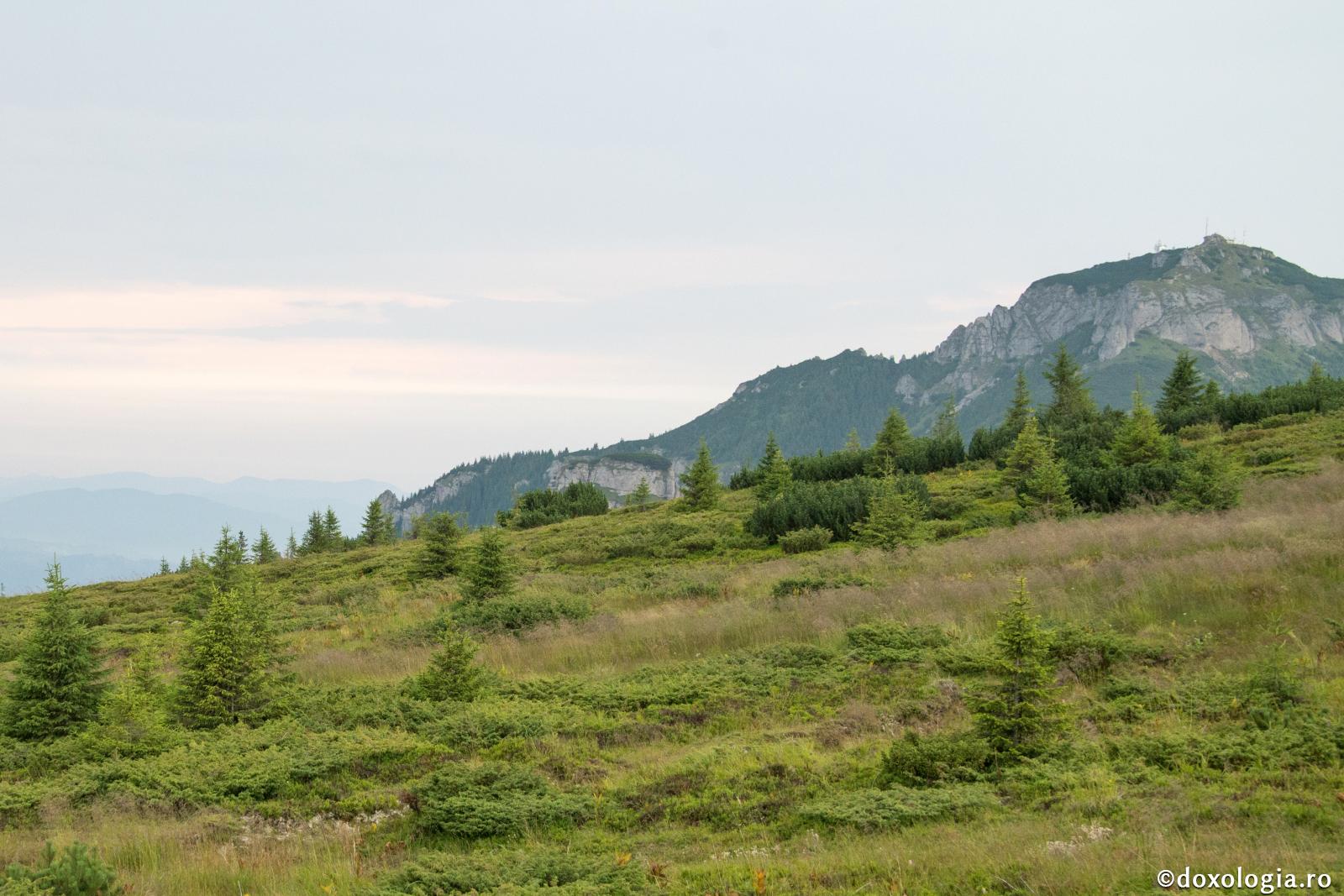 O căprioară în paradisul pierdut - Mărturisire a Sfântului Iustin Popovici (5)