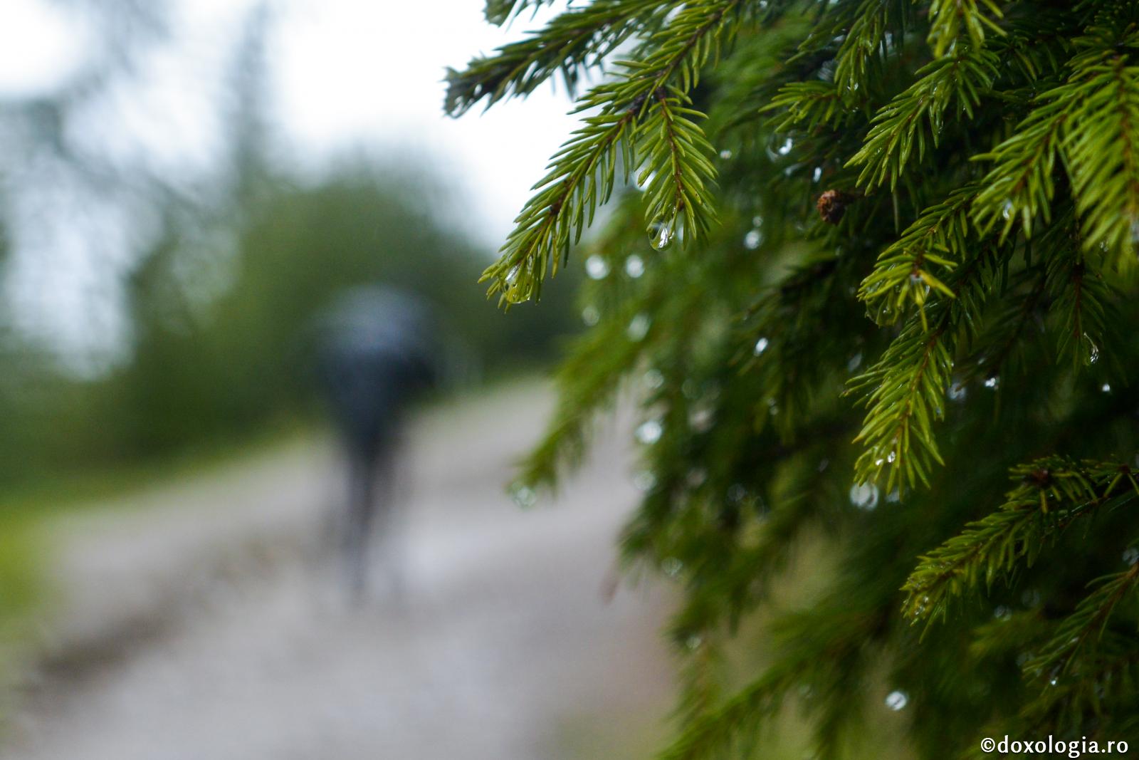 Ştii tu oare, fiule, de ce vin necazurile asupra ta?