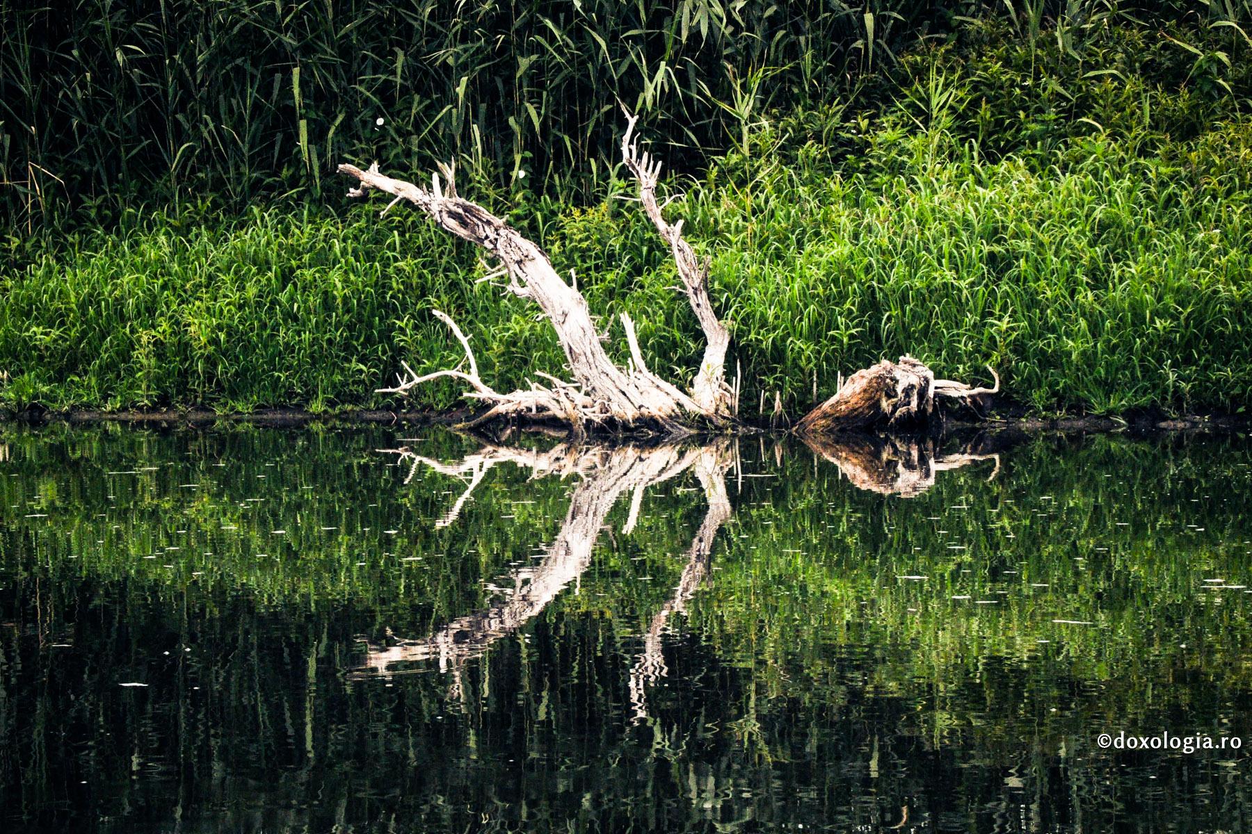 Vrăjmașii m-au învățat să știu ceea ce puțini știu în lume: că omul nu are pe pământ vrăjmași afară de sine însuși