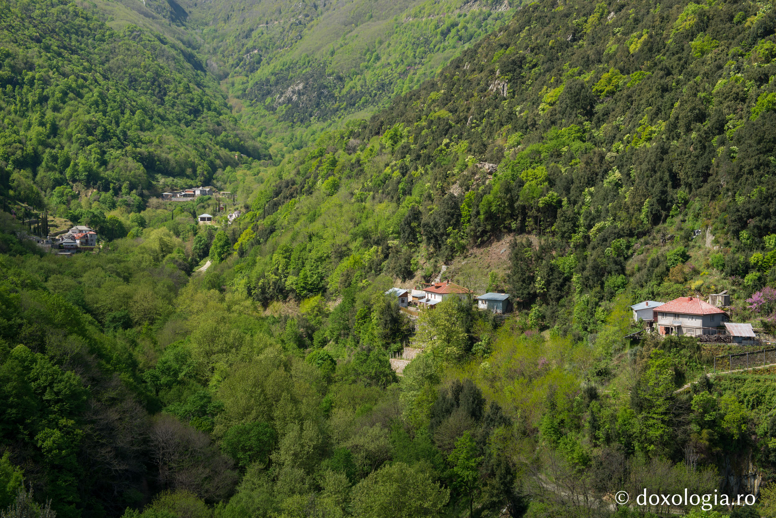 Schitul Lacu – vedere dinspre nord-est / Foto: Pr. Silviu Cluci Schitul Lacu, Athos