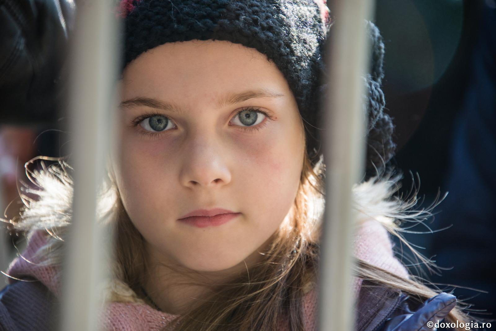 Chipul sfielii se aseamănă cu smerenia dragostei