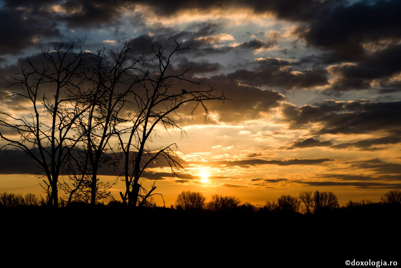 Stihiile cele de sus ajută celor de jos