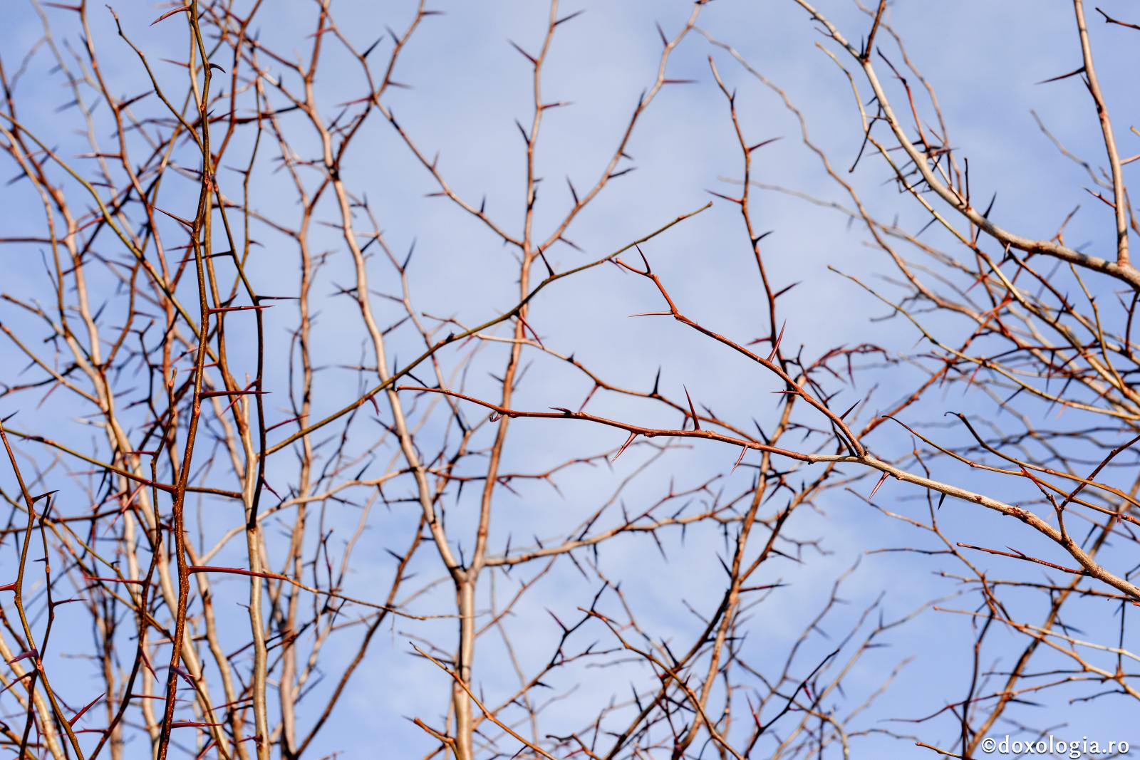 Oare blestemat va fi cel ce-și schimbă credința?