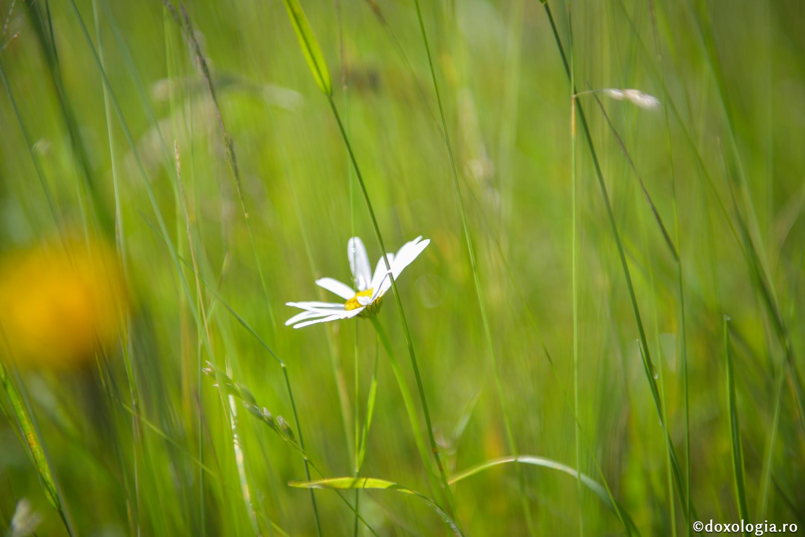Binecuvântează și totul se transformă