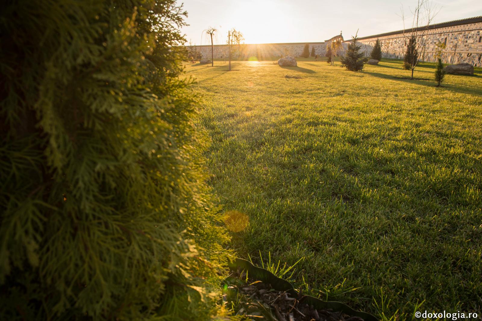 Hrană pentru suflet