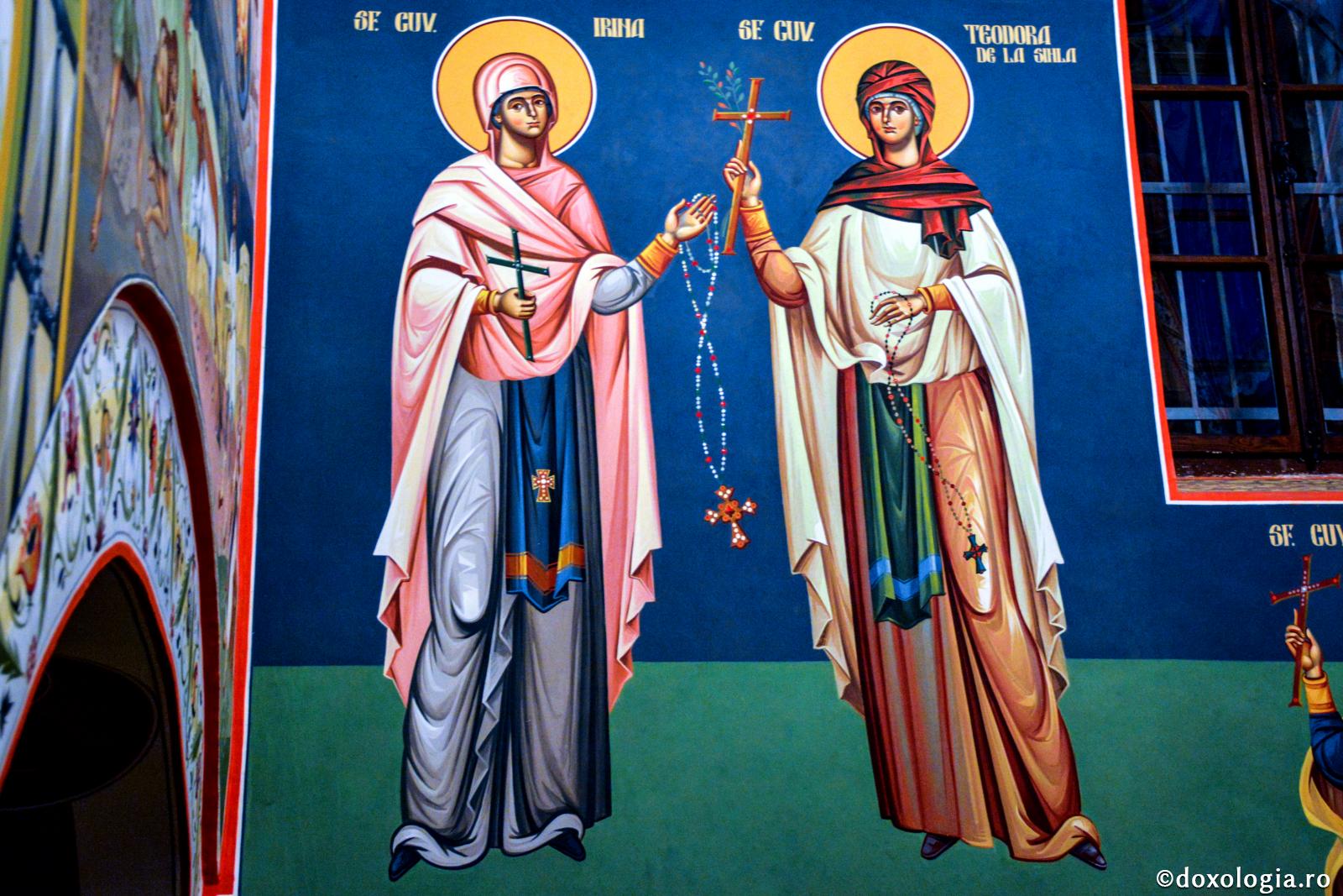 Sfânta Cuvioasă Teodora de la Sihla