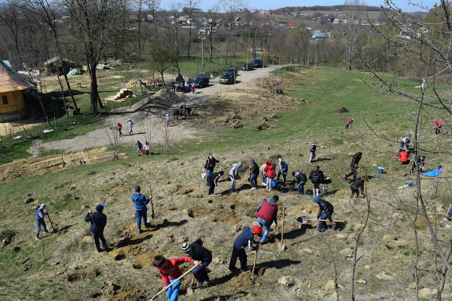 Prinț sau cerșetor? Voluntariat pentru un mediu mai curat!