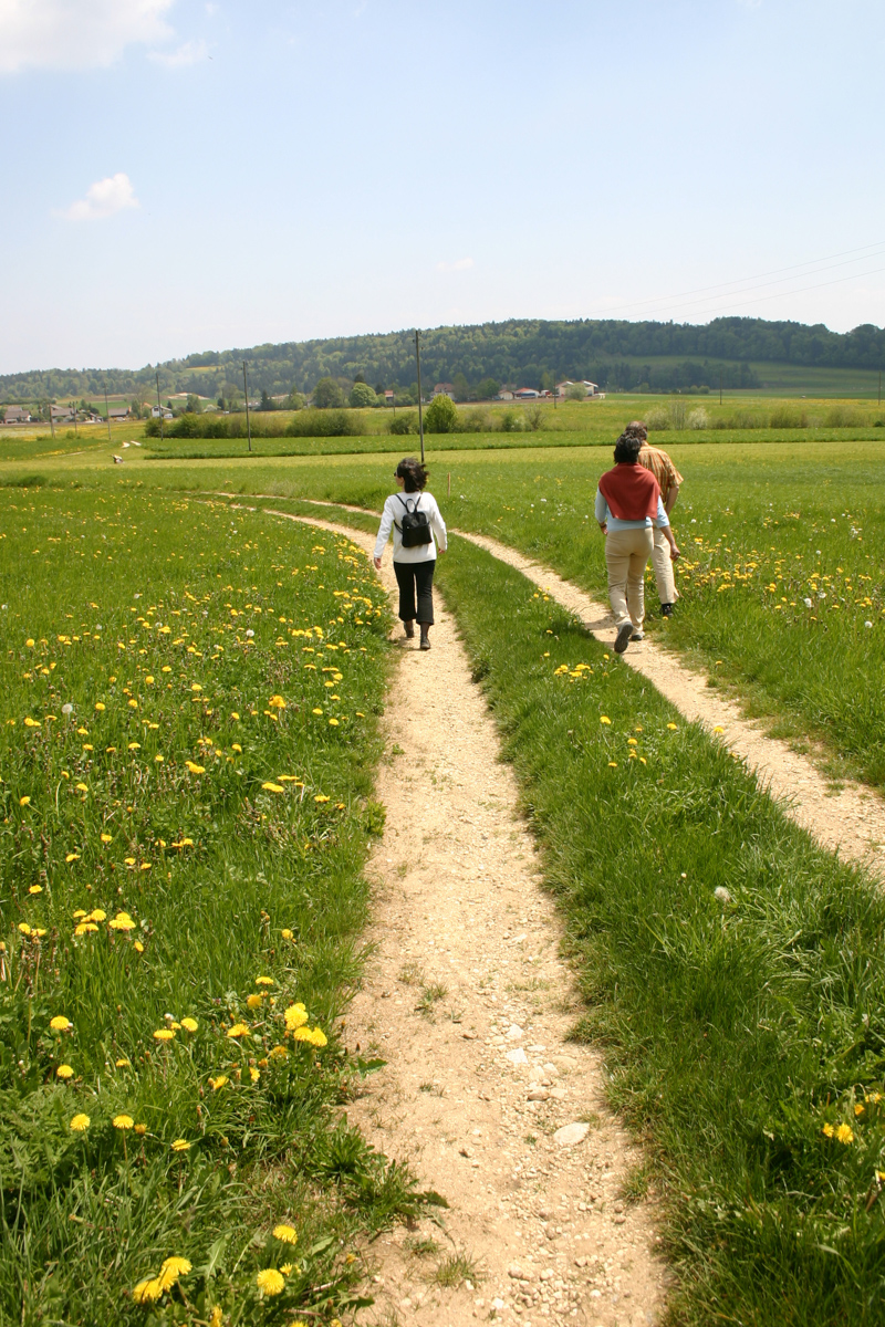 „A face alegeri este o artă şi o ştiinţă“
