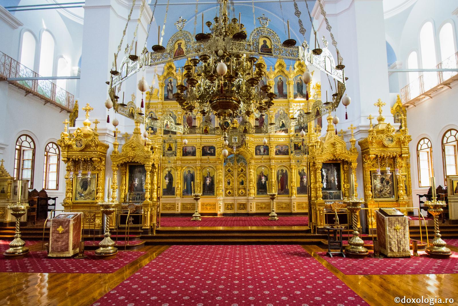 Dumnezeu iubeşte Şi lemnul, nu doar lemnul!