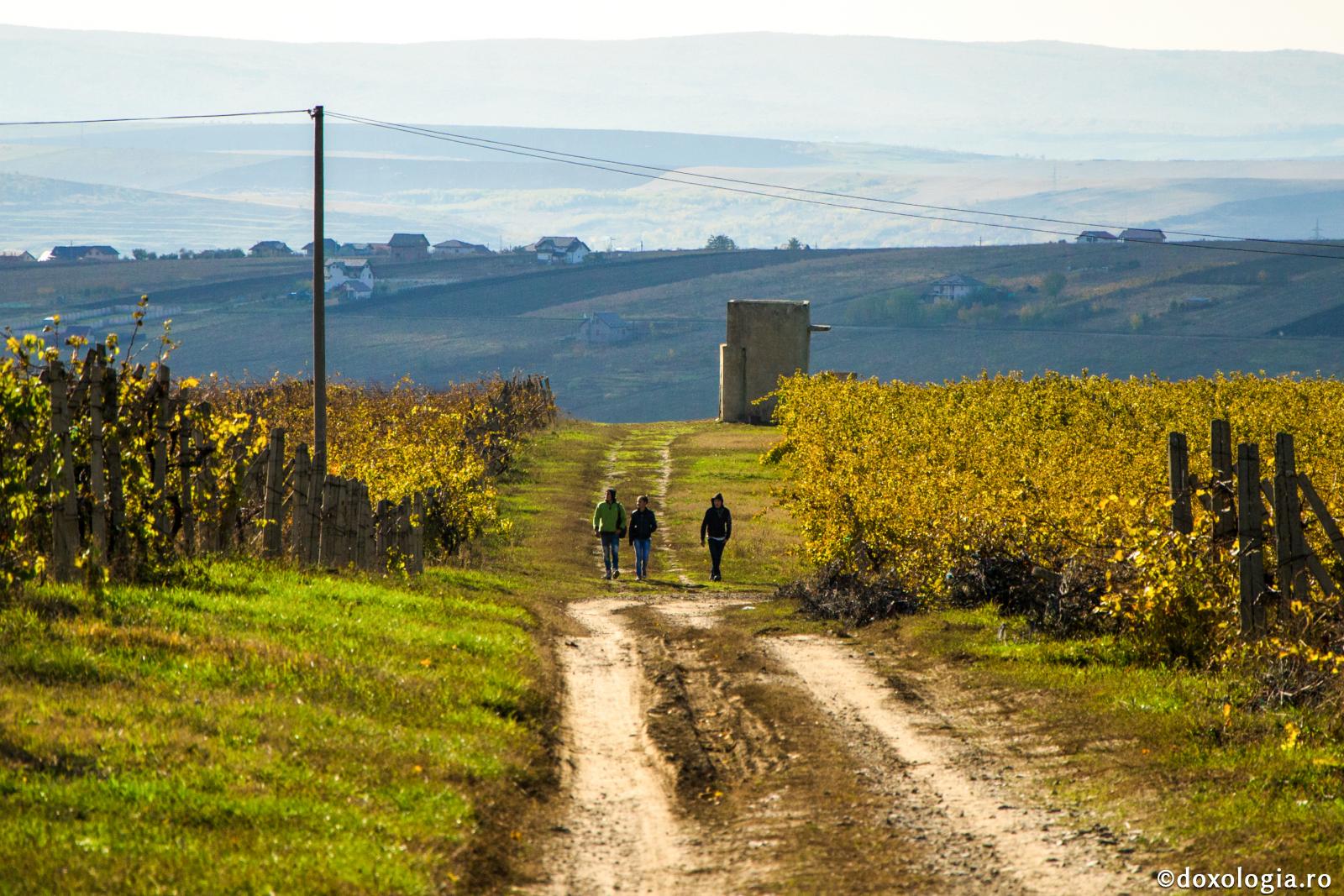 Ce să facem ca să nu mai trăim prin comparație?
