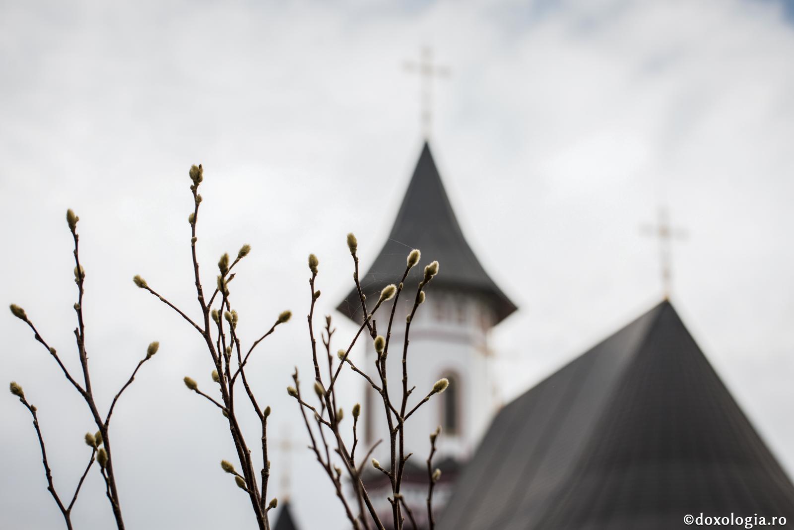 Cum putem convinge o persoană că Dumnezeu e Cel care ne vindecă și nu un bioenergetician, să nu mai apeleze la astfel de servicii?