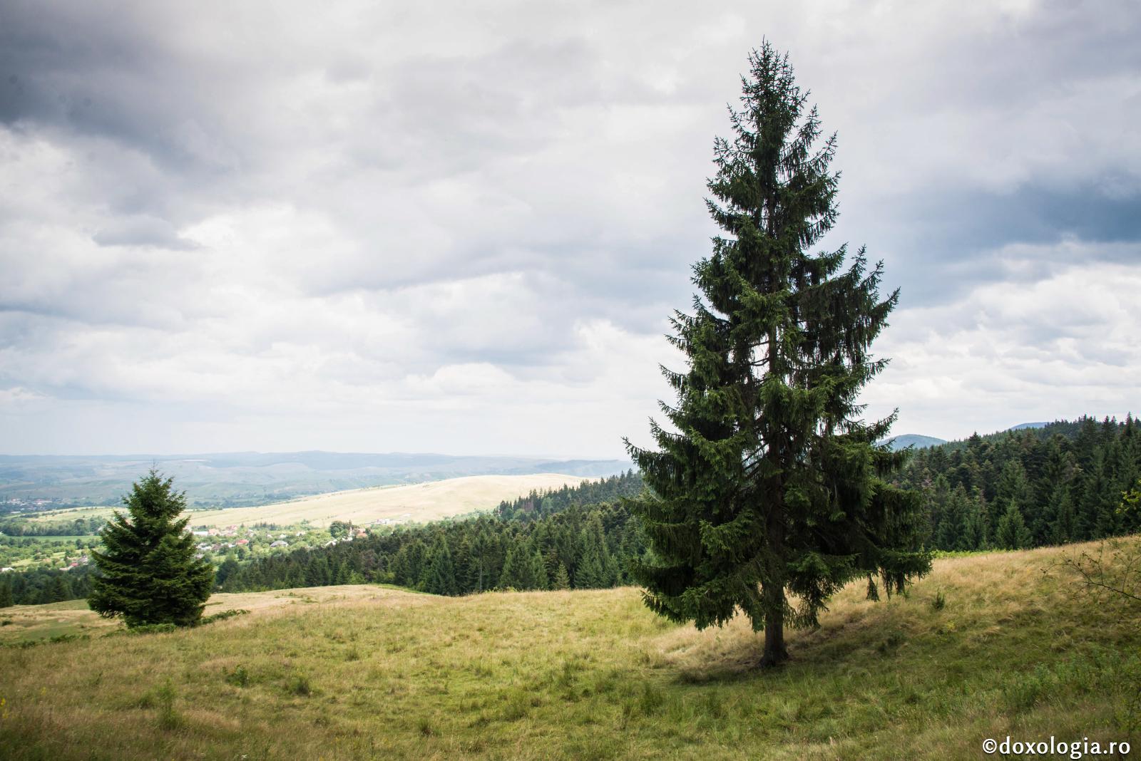 Dumnezeu, ecologist!?