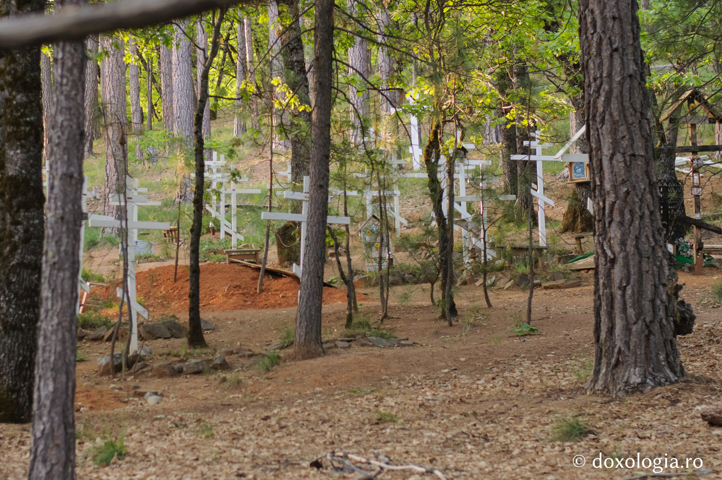 Mănăstirea „Sfântul Gherman” din Platina, California