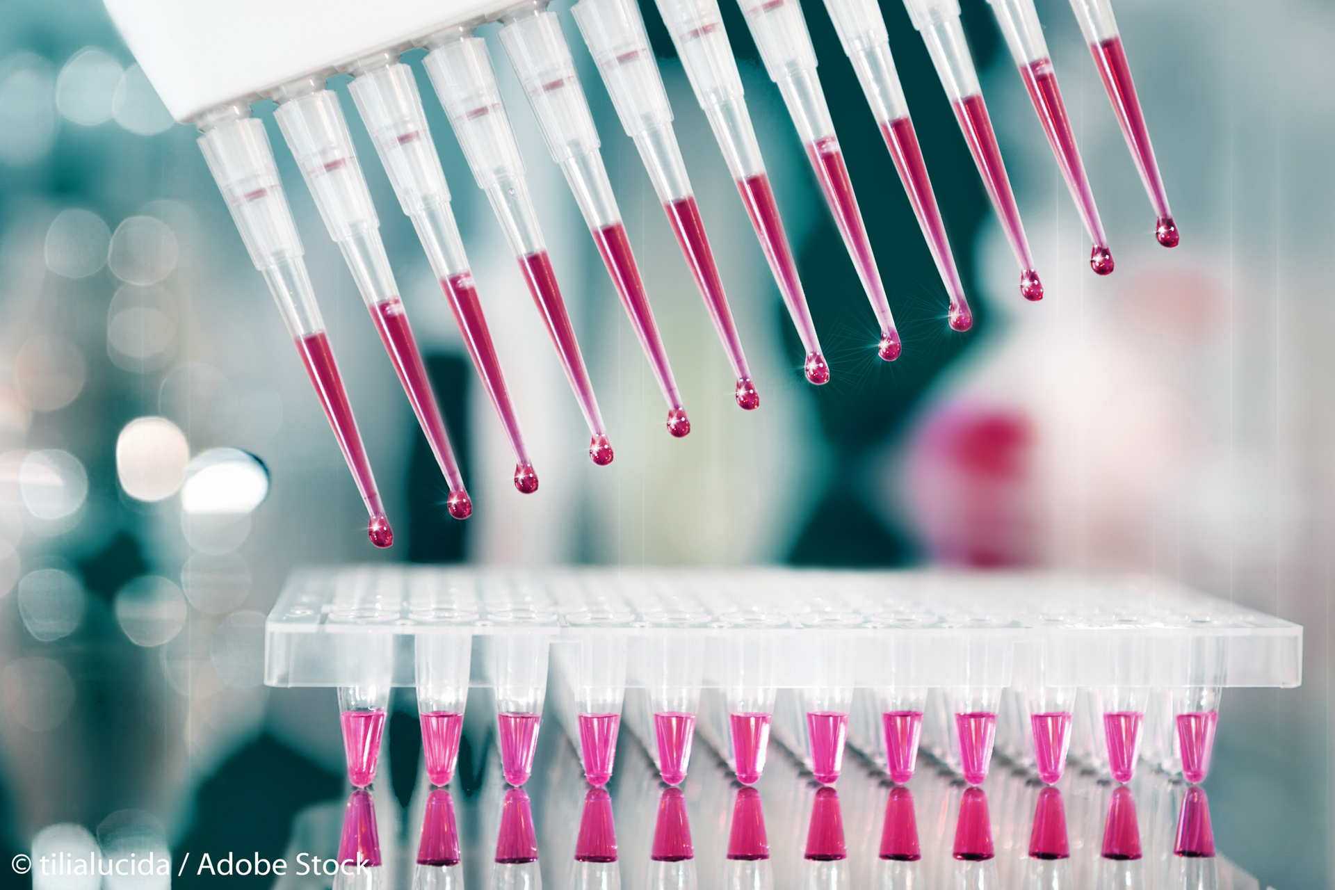 Adevărul despre celulele stem embrionare