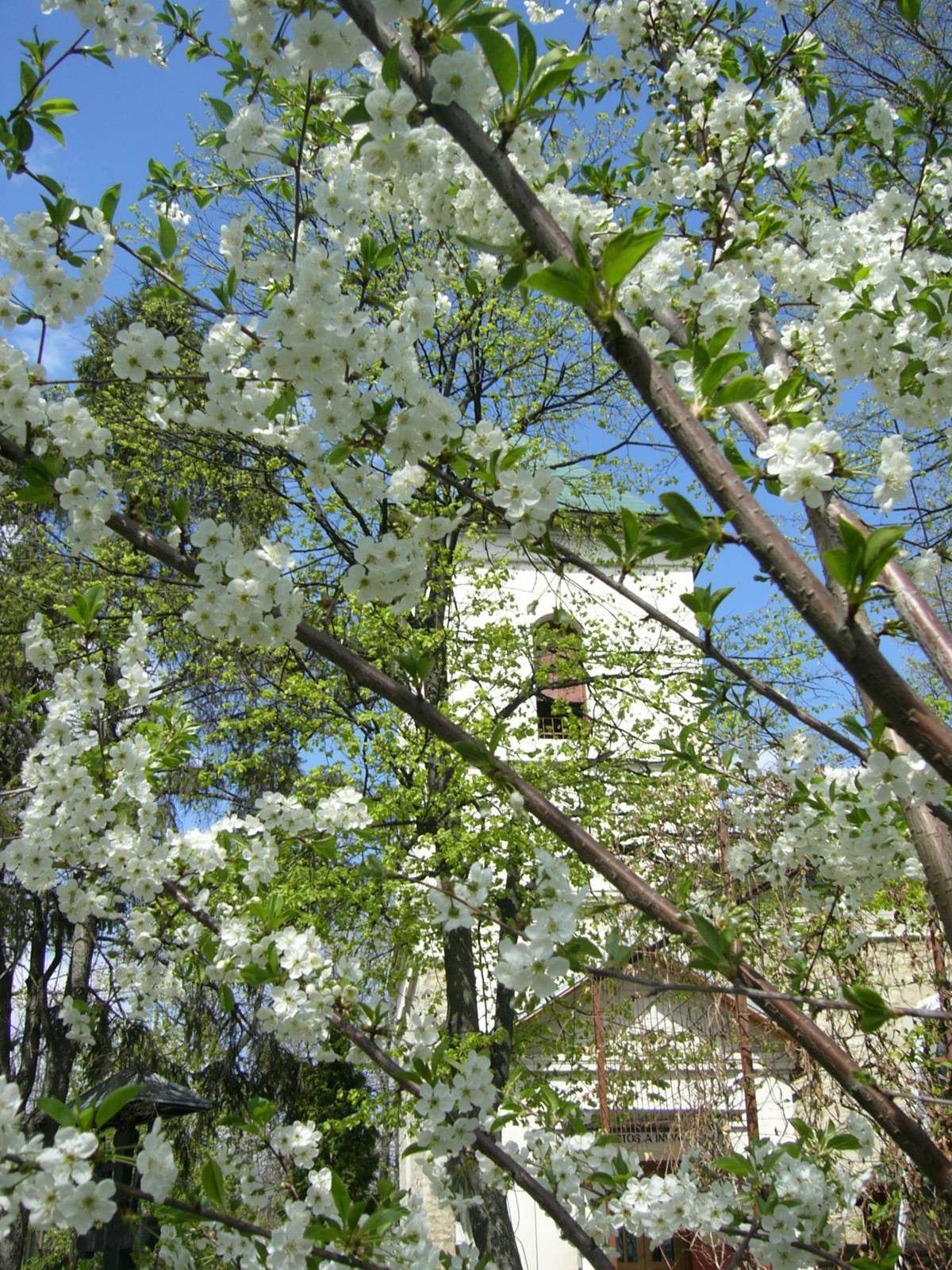 Slujire arhierească la hramul Parohiei „Toma Cozma”