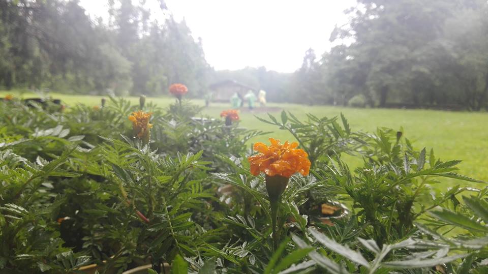 „ATOR face pact cu natura“