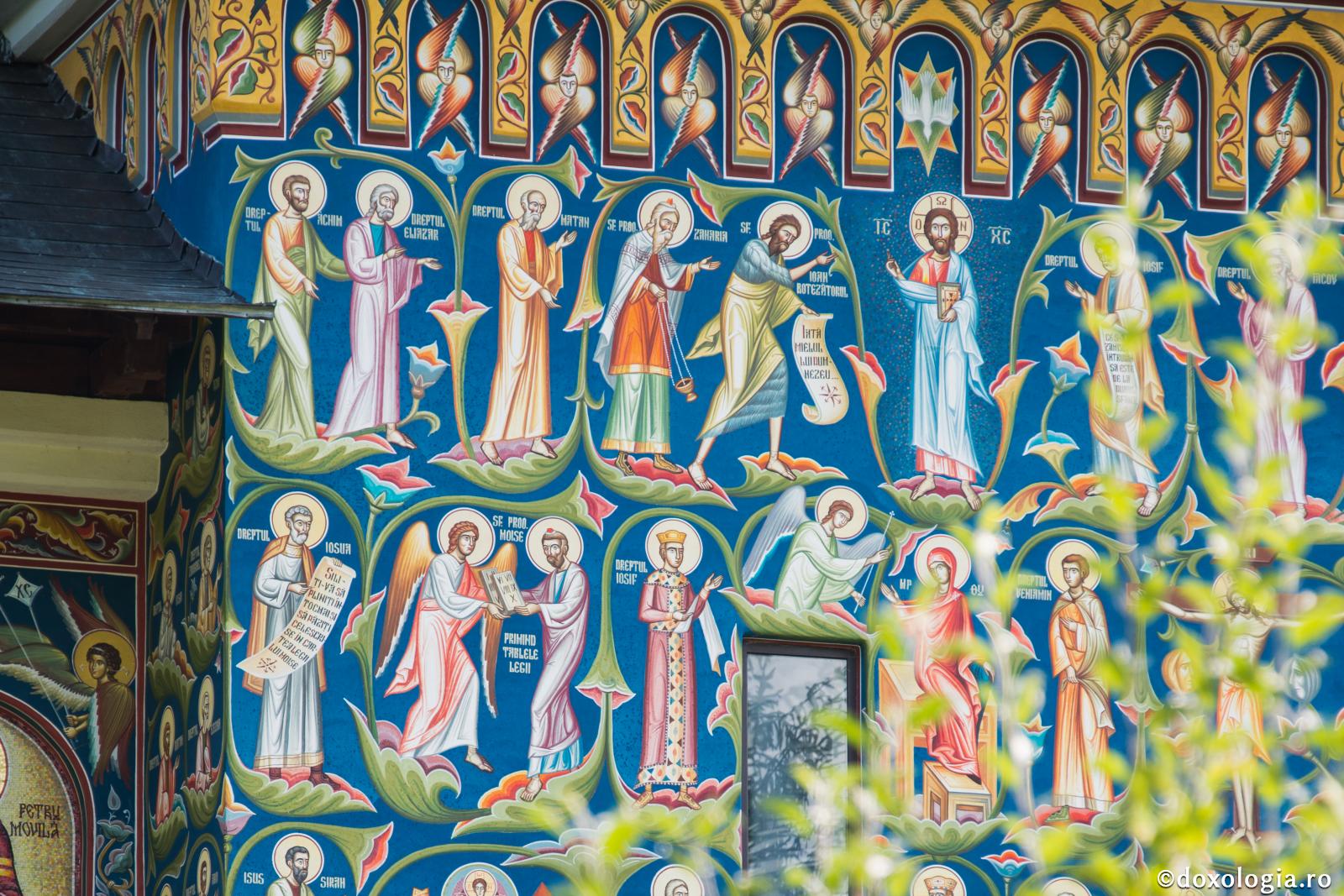 Sfinții - mlădițe din Hristos