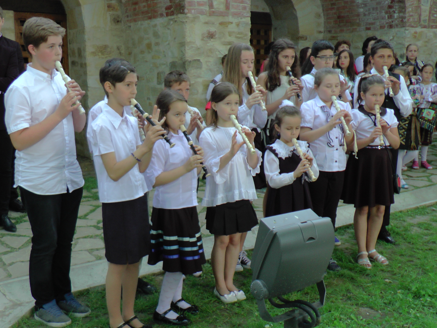 Ziua Eroilor, marcată la Suceava printr-un spectacol patriotic