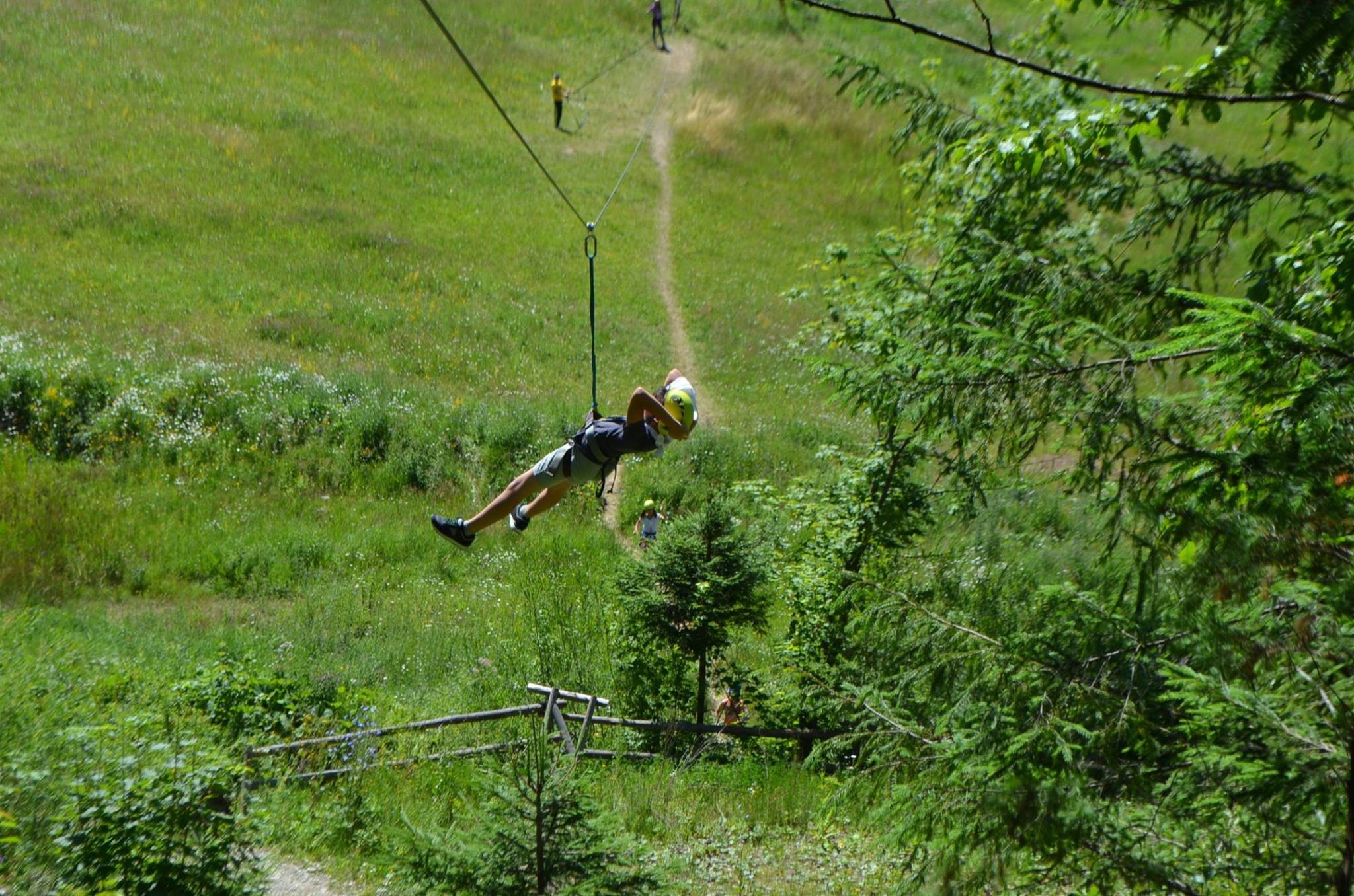Situaţii de învăţare în Tabăra „Floare de colţ“