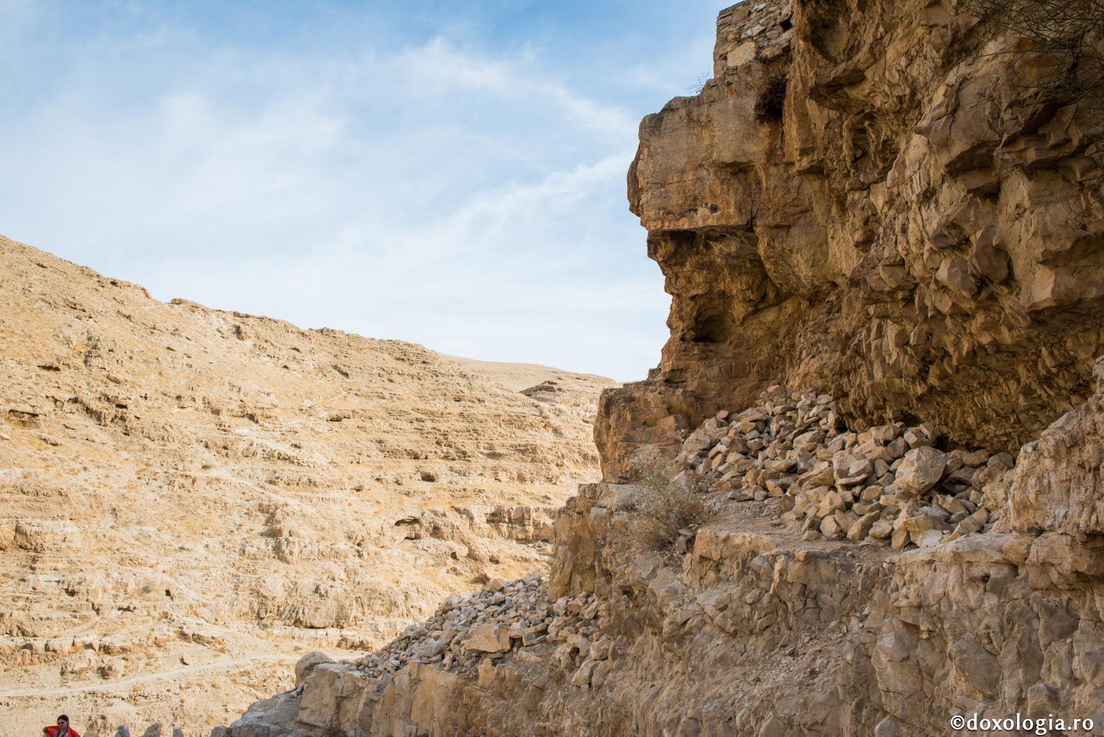 Coprie – sfântul care face până și deșertul să rodească / Foto: Oana Nechifor pustie