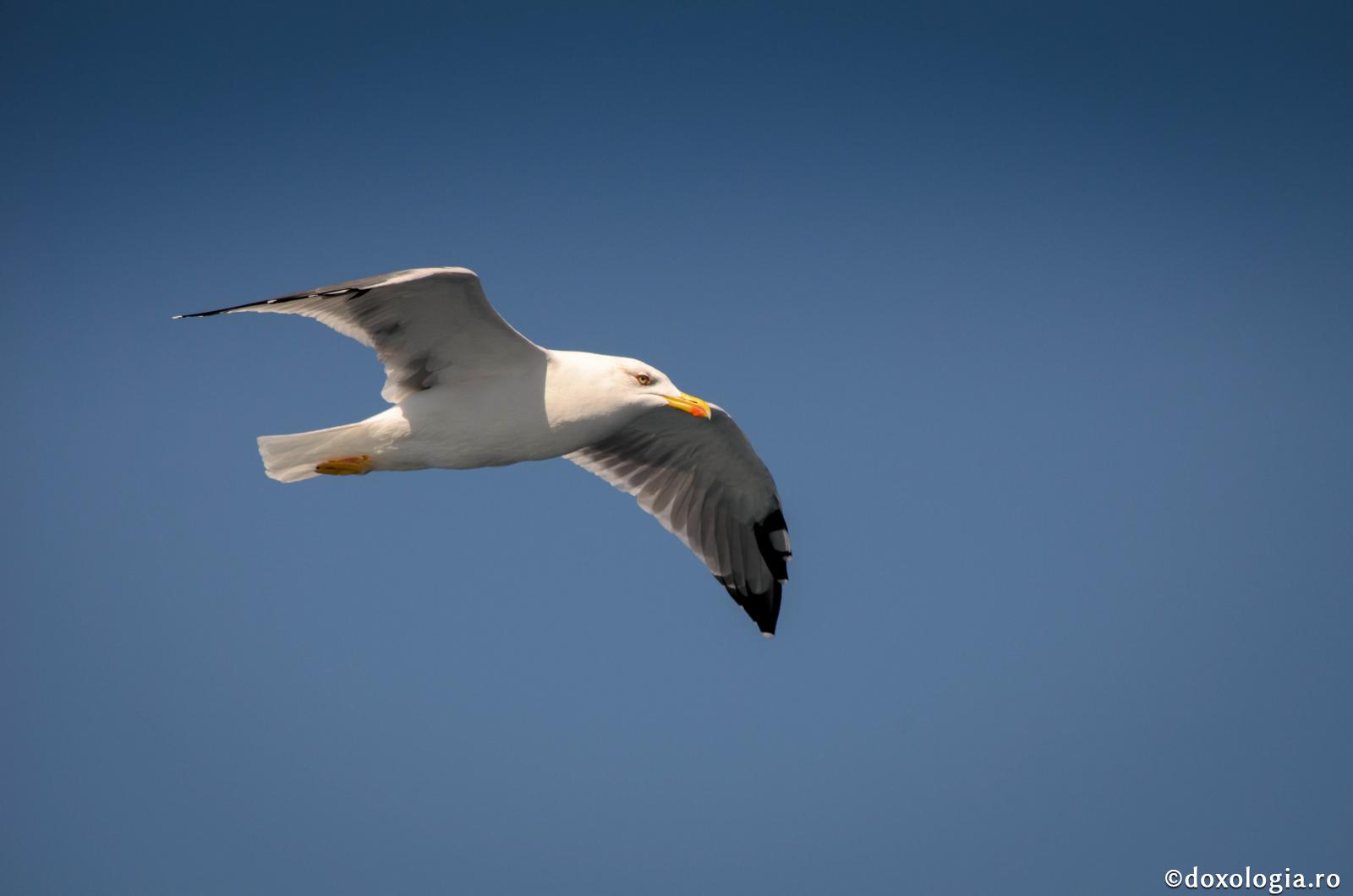 În căutarea liniștii sufletești