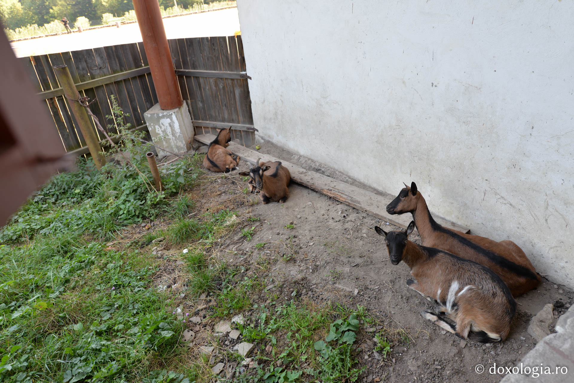 „Nu contează unde trăiești, în mănăstire sau în lume, ci cum îți este inima”