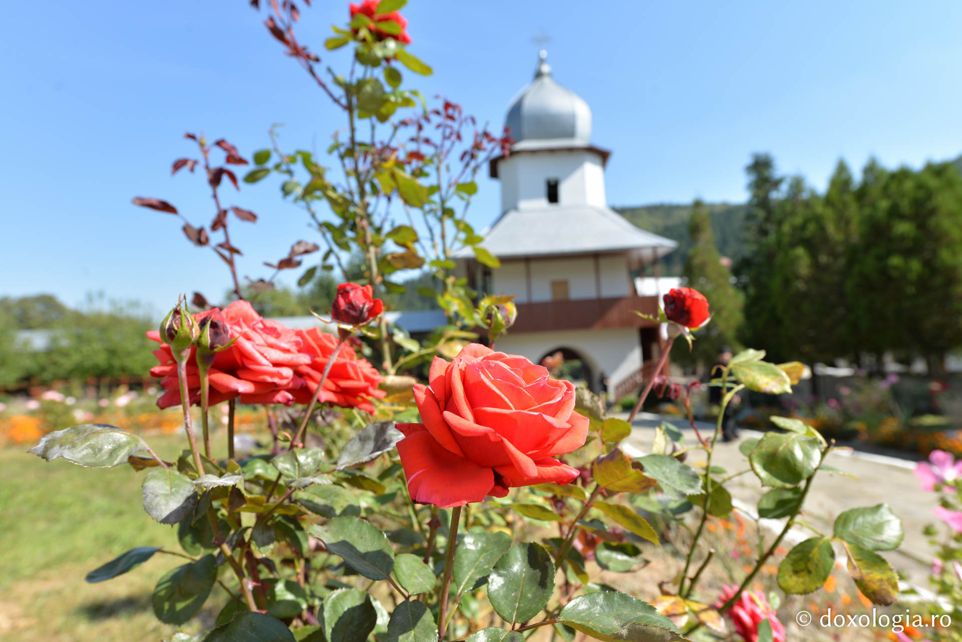 Ierodiaconul Dionisie: „Cea mai mare bucurie pentru suflet este de a sluji lui Dumnezeu”