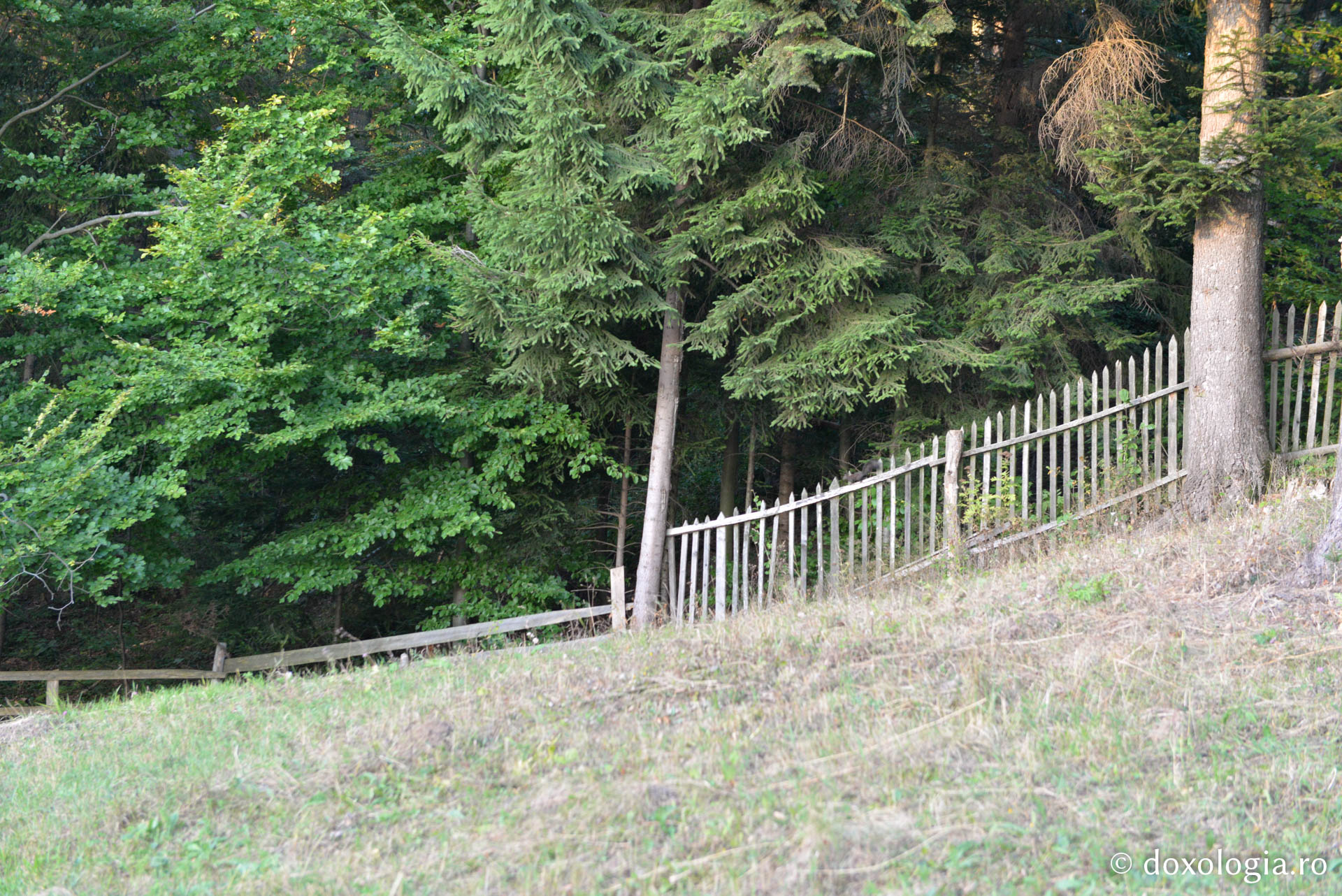 La Horaița, în tihna frumuseții cerești / Foto: Oana Nechifor Mănăstirea Horaița