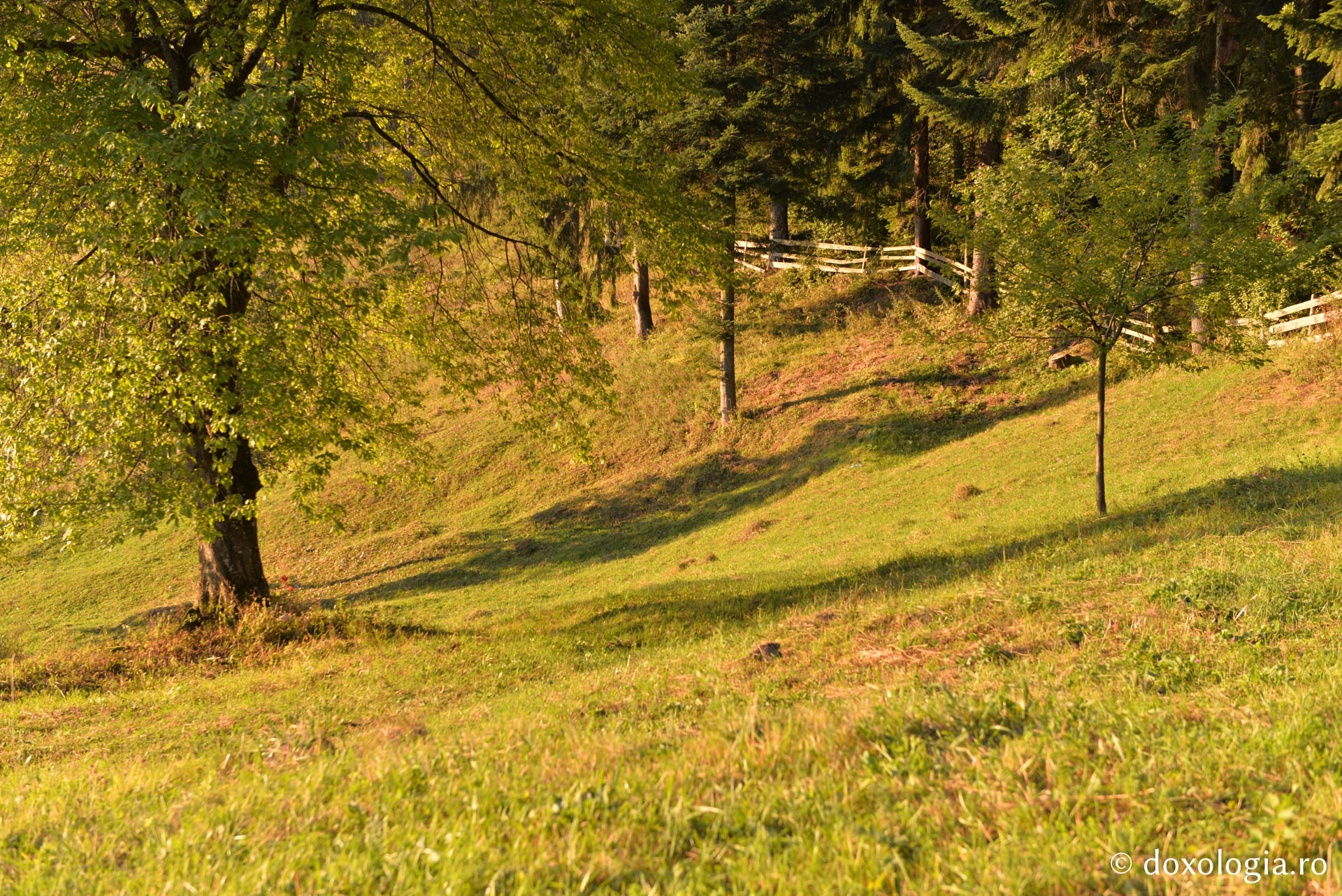 La Horaița, în tihna frumuseții cerești / Foto: Oana Nechifor Mănăstirea Horaița