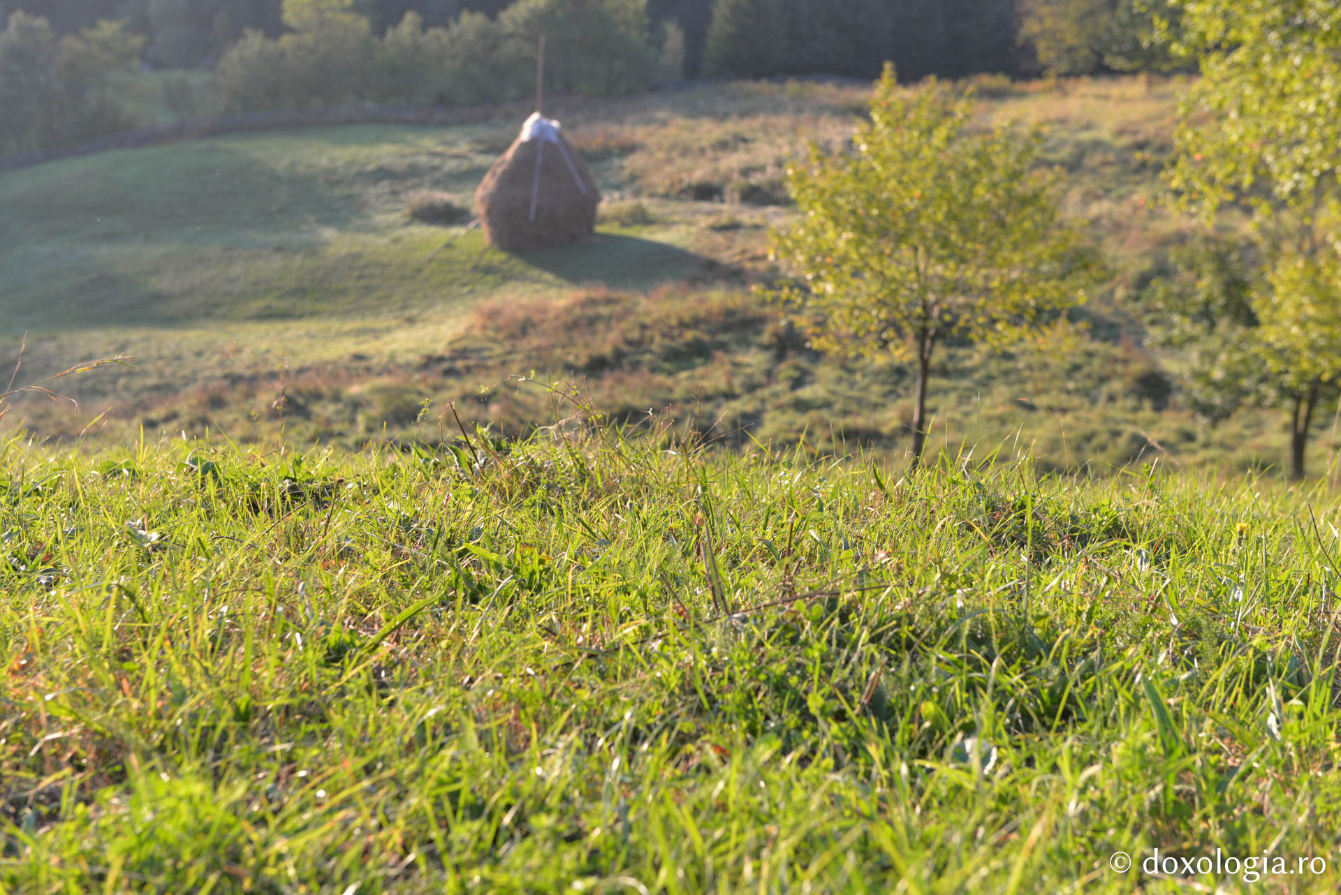 La Horaița, în tihna frumuseții cerești / Foto: Oana Nechifor Mănăstirea Horaița