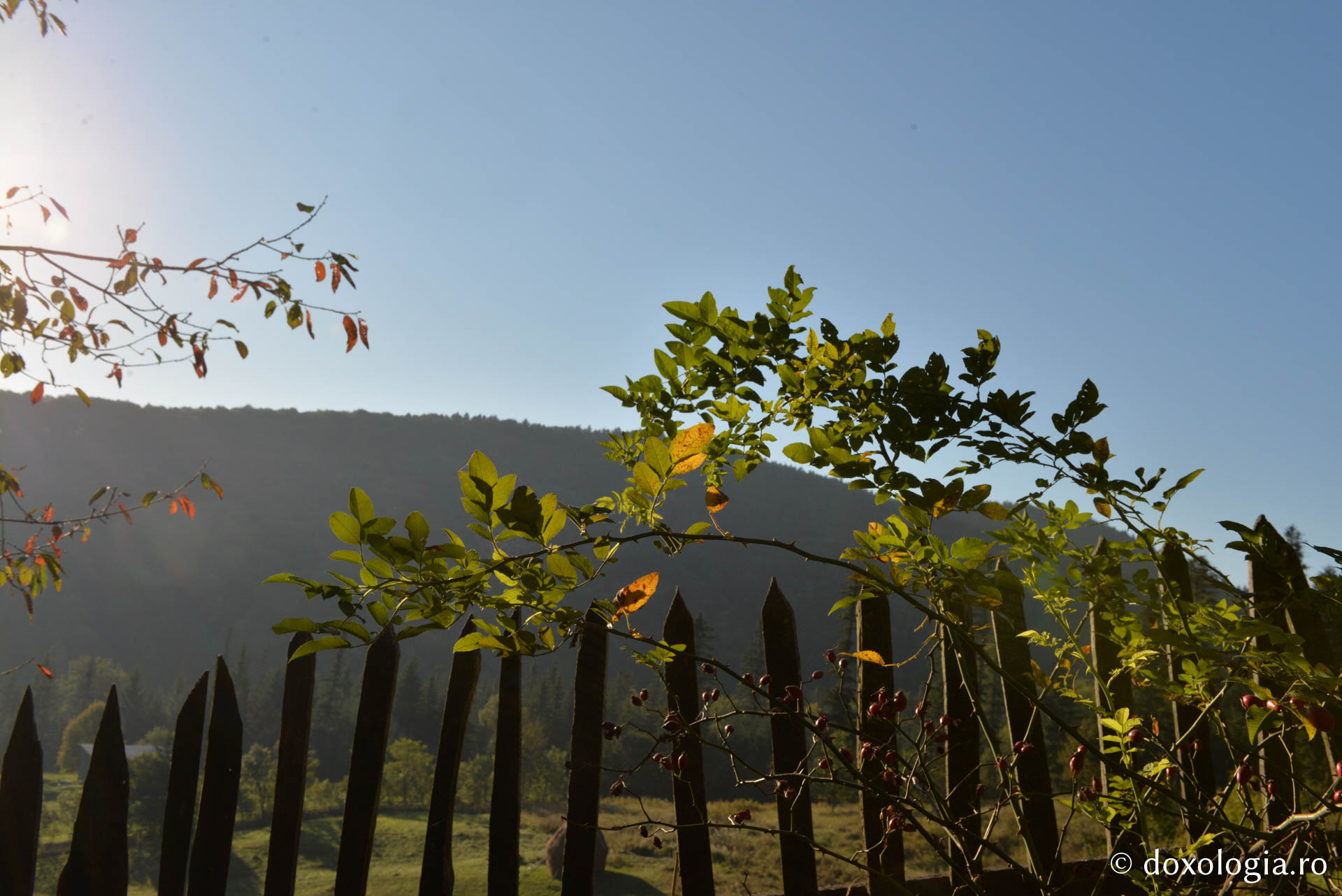 La Horaița, în tihna frumuseții cerești / Foto: Oana Nechifor Mănăstirea Horaița