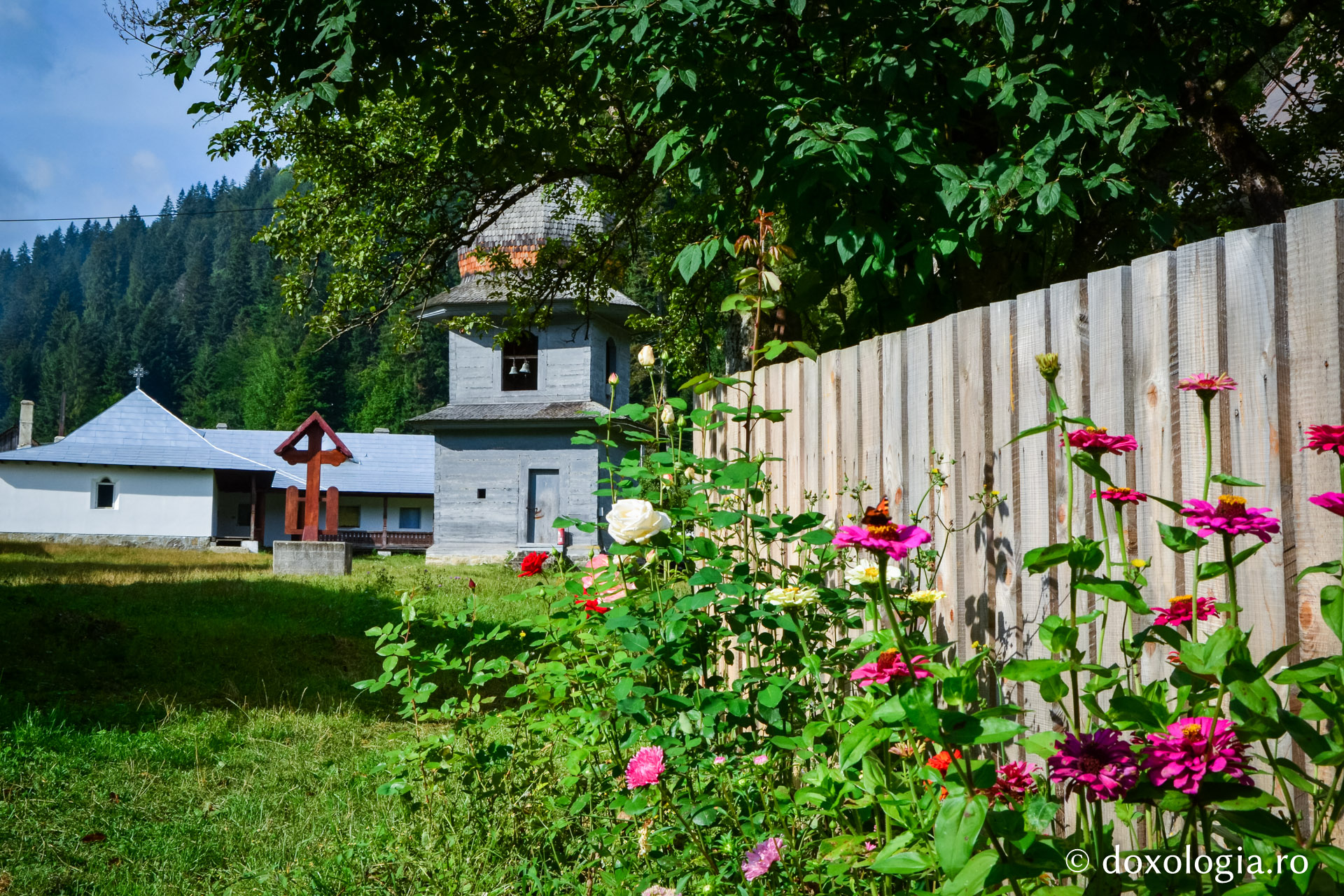 Drumul spre mănăstire al Părintelui Zaharia din Sihăstria Tarcăului