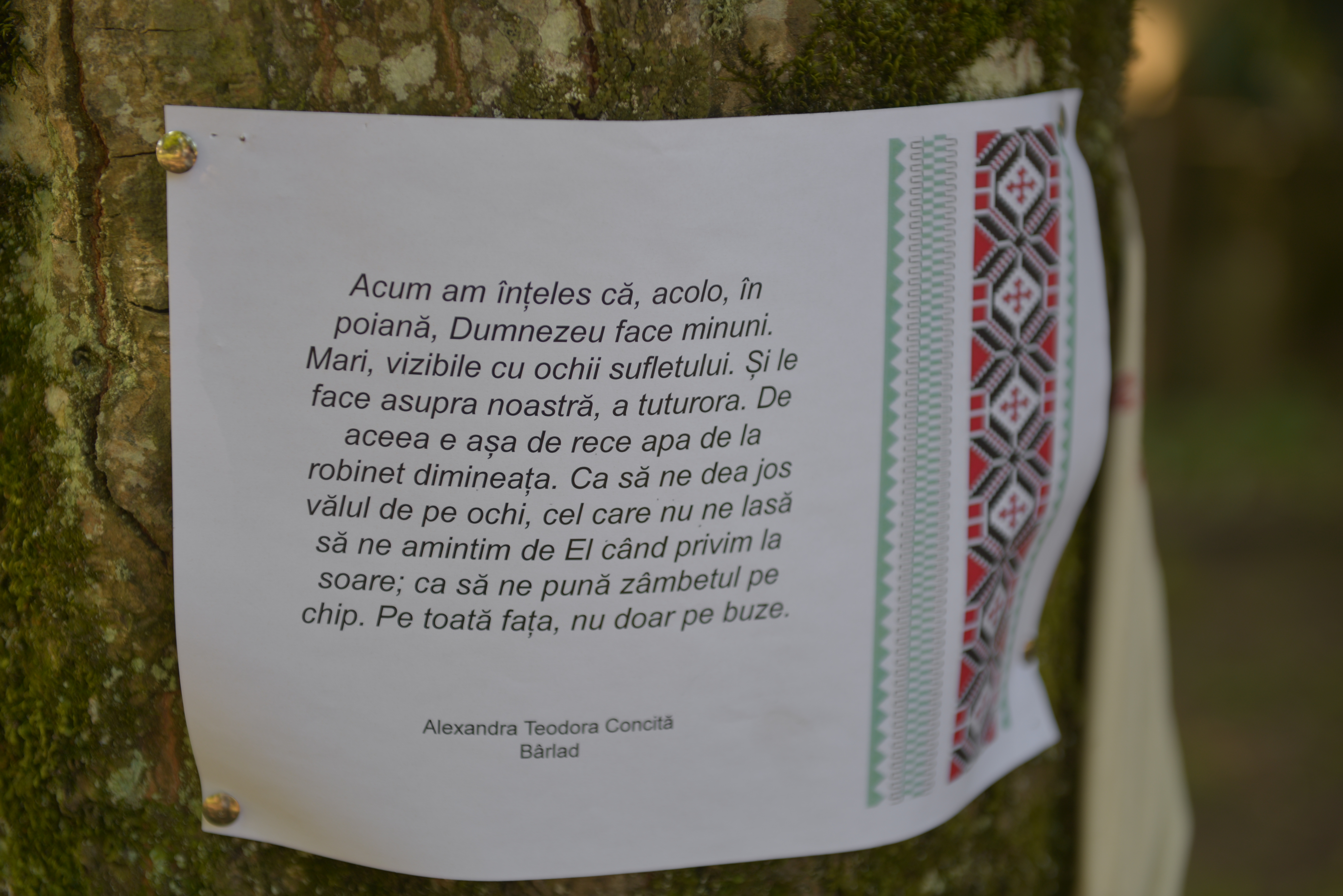 Tabăra de la Nemțișor: „Tinerii sunt invitați să-L cunoască pe Dumnezeu și să nu-L uite niciodată”