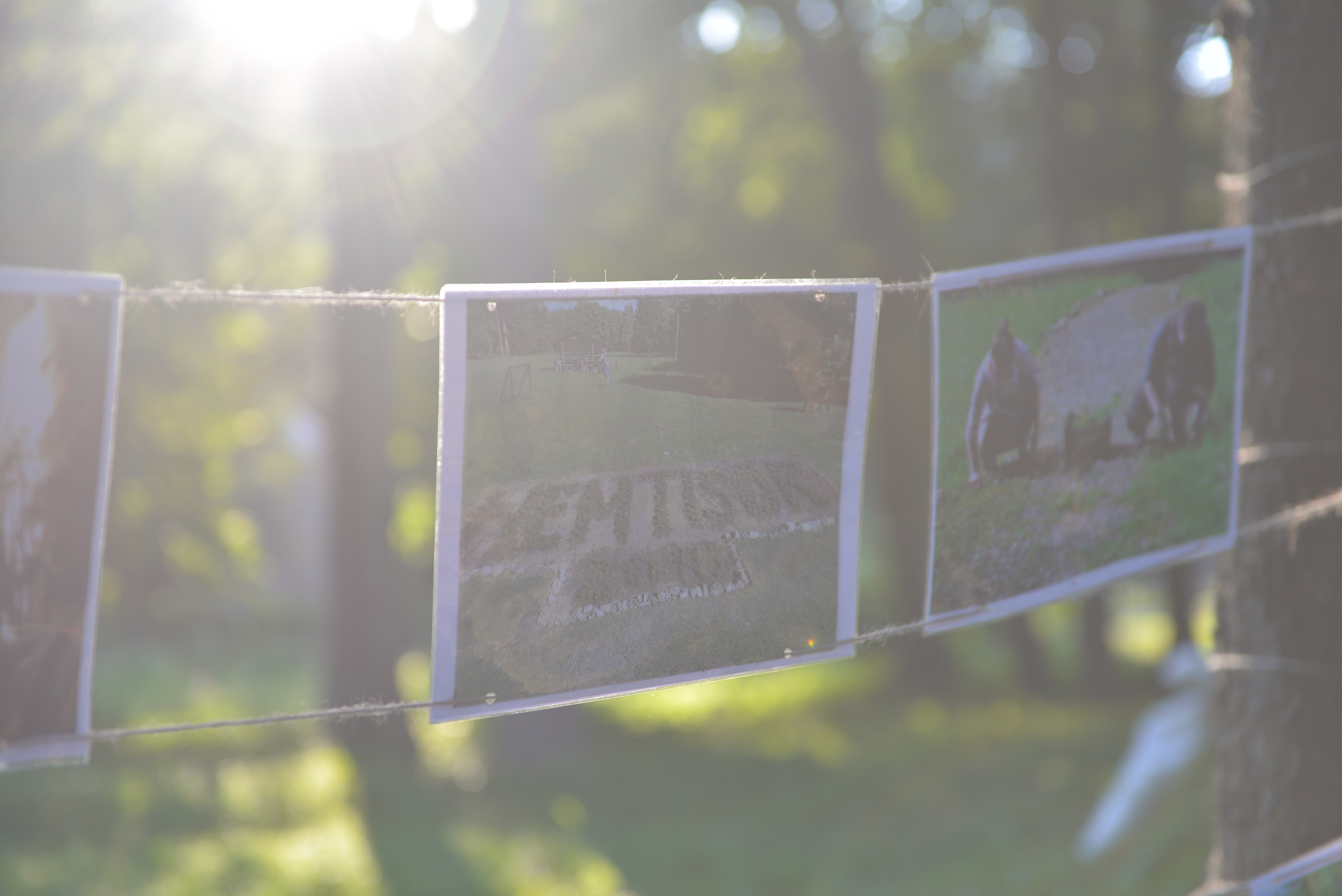 Tabăra de la Nemțișor: „Tinerii sunt invitați să-L cunoască pe Dumnezeu și să nu-L uite niciodată”