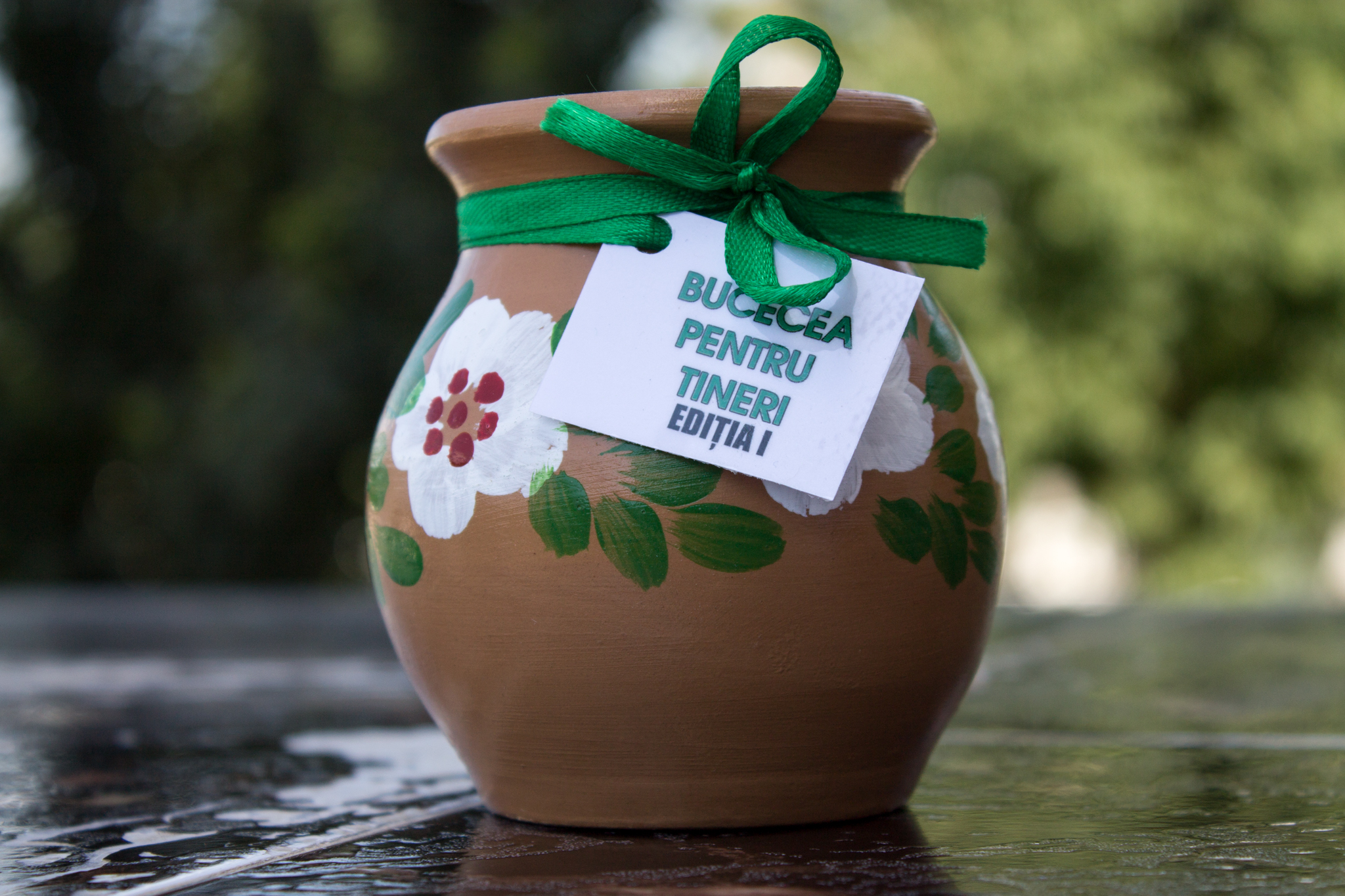 „Bucecea pentru tineri”, Ediția I