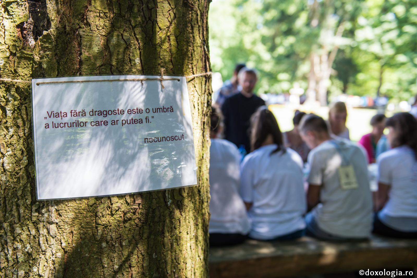 citat despre dragoste