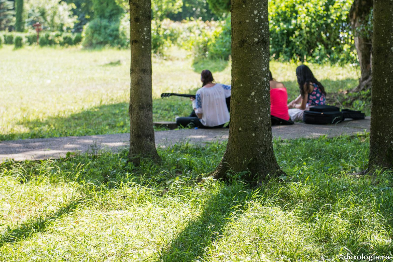 tineri cântând la chitară în natură