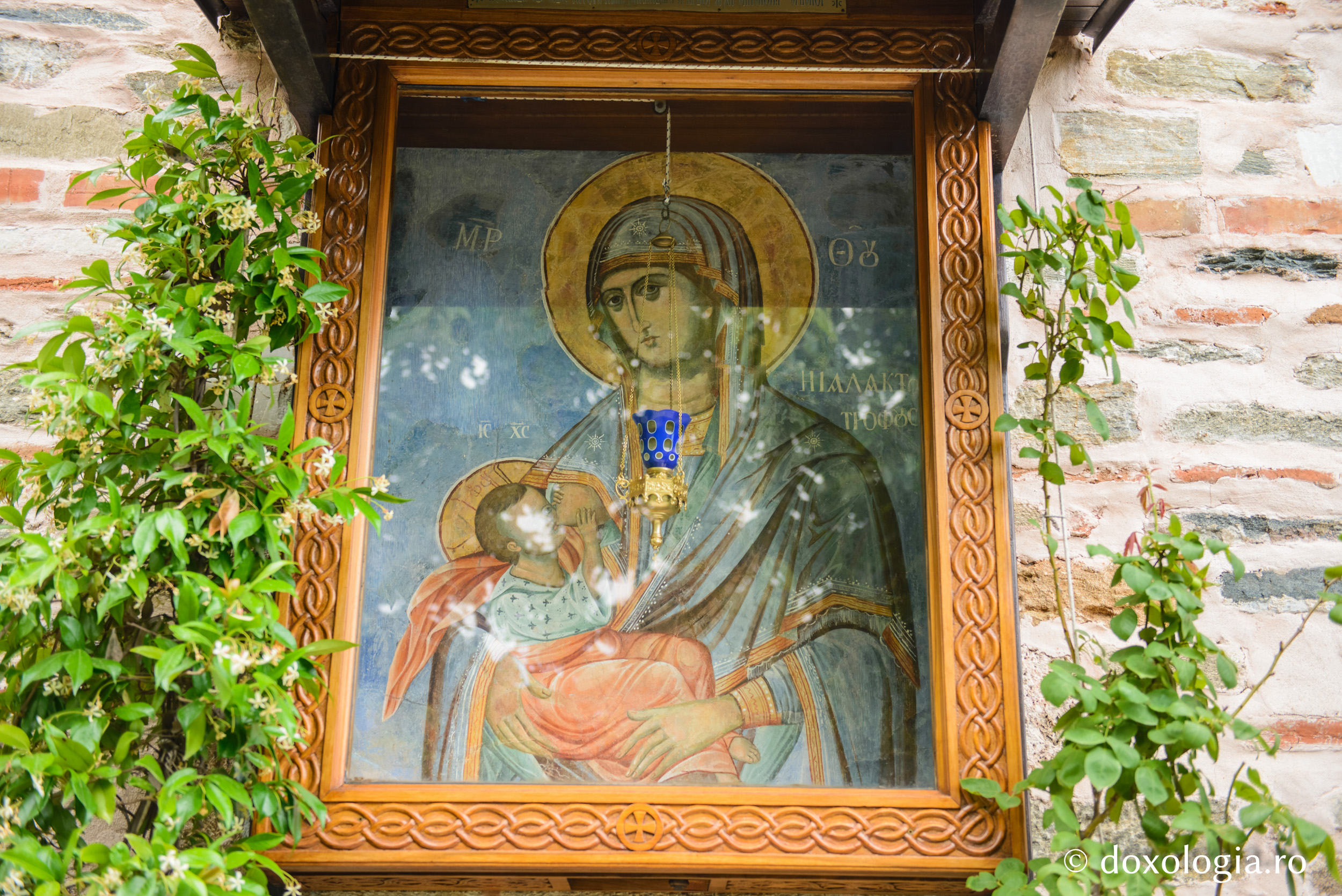 Chilia Tipikario din Muntele Athos / Foto: Pr. Silviu Cluci Chilia Tipikario din Muntele Athos