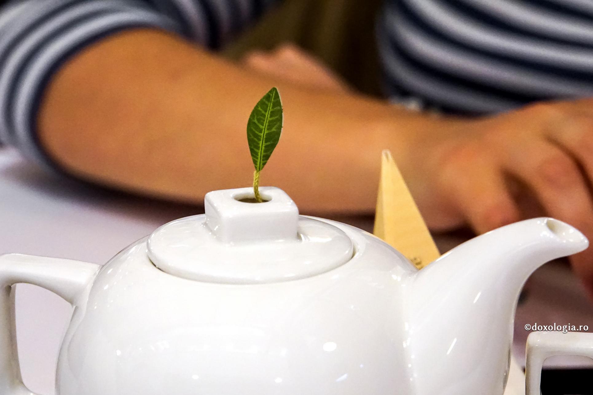 Amestec de plante pentru afecțiunile dermatologice