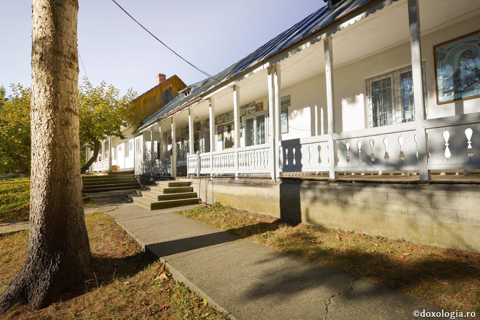 Părintele Cleopa: „Răbdare, nu până la prăşit, ci până la sfârşit”