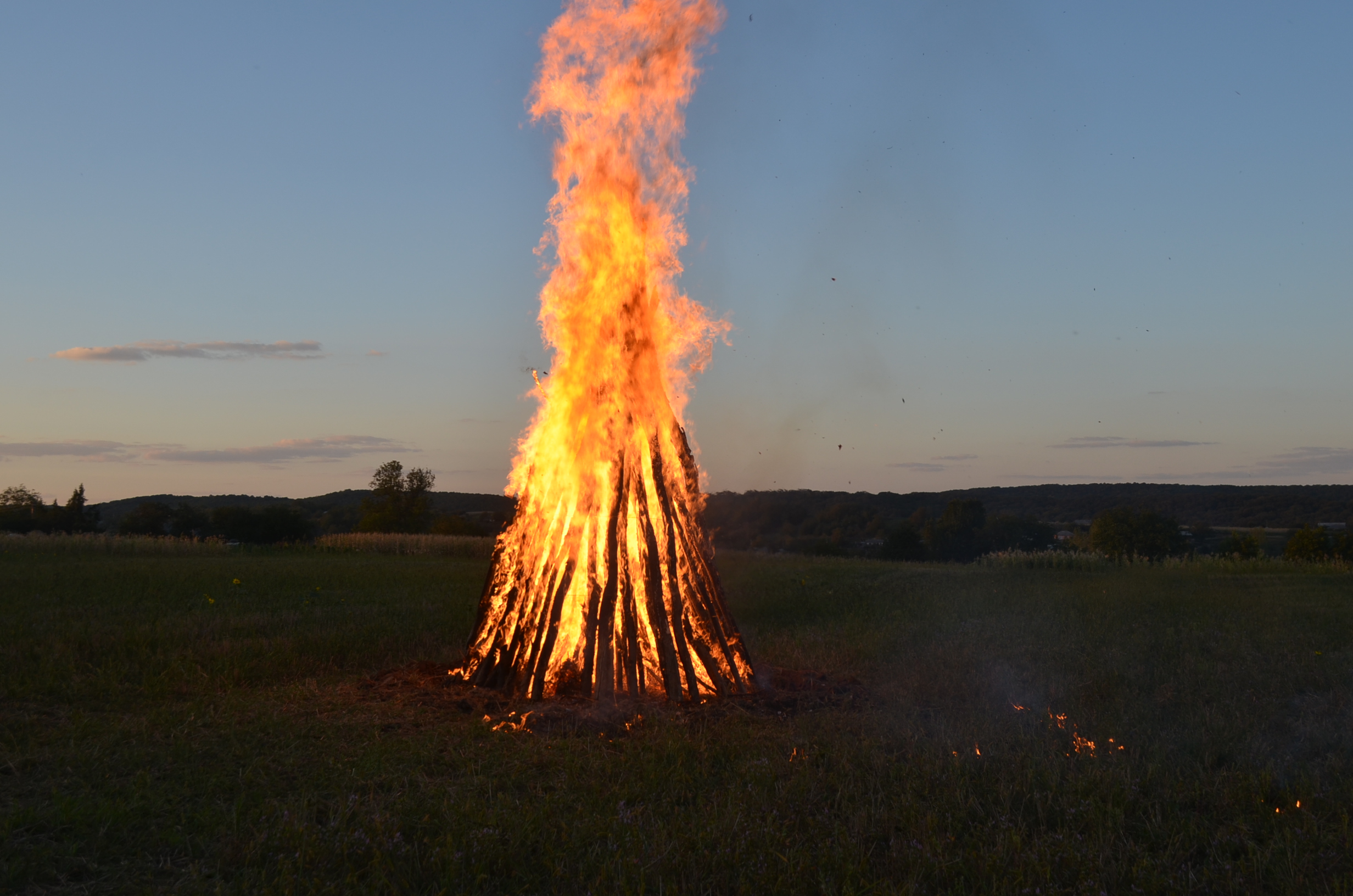 „Prietenia dintre suflete“ la Comăneşti
