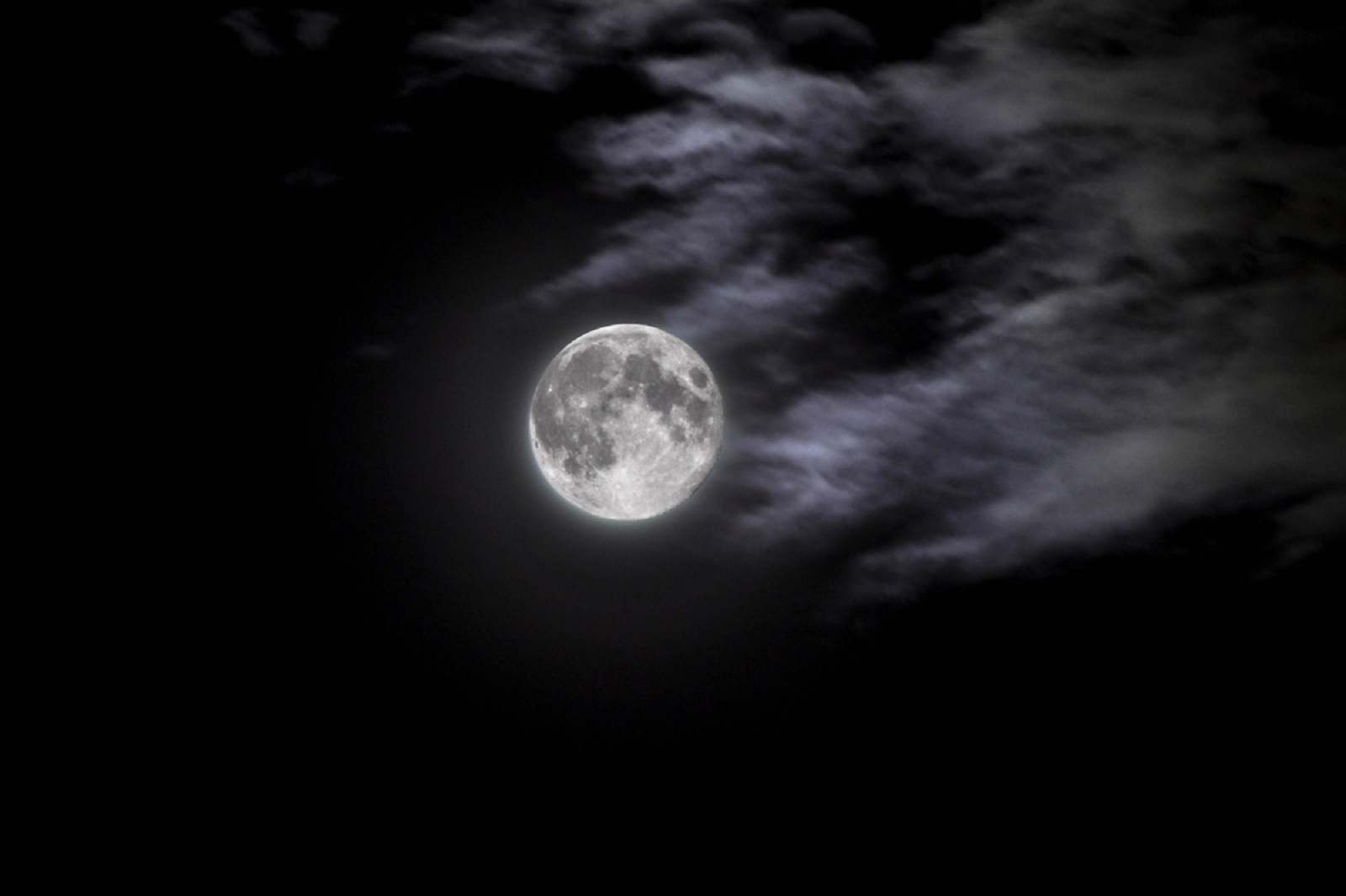 Mărturia unui creştin sirian care a fost dat spre mâncare câinilor