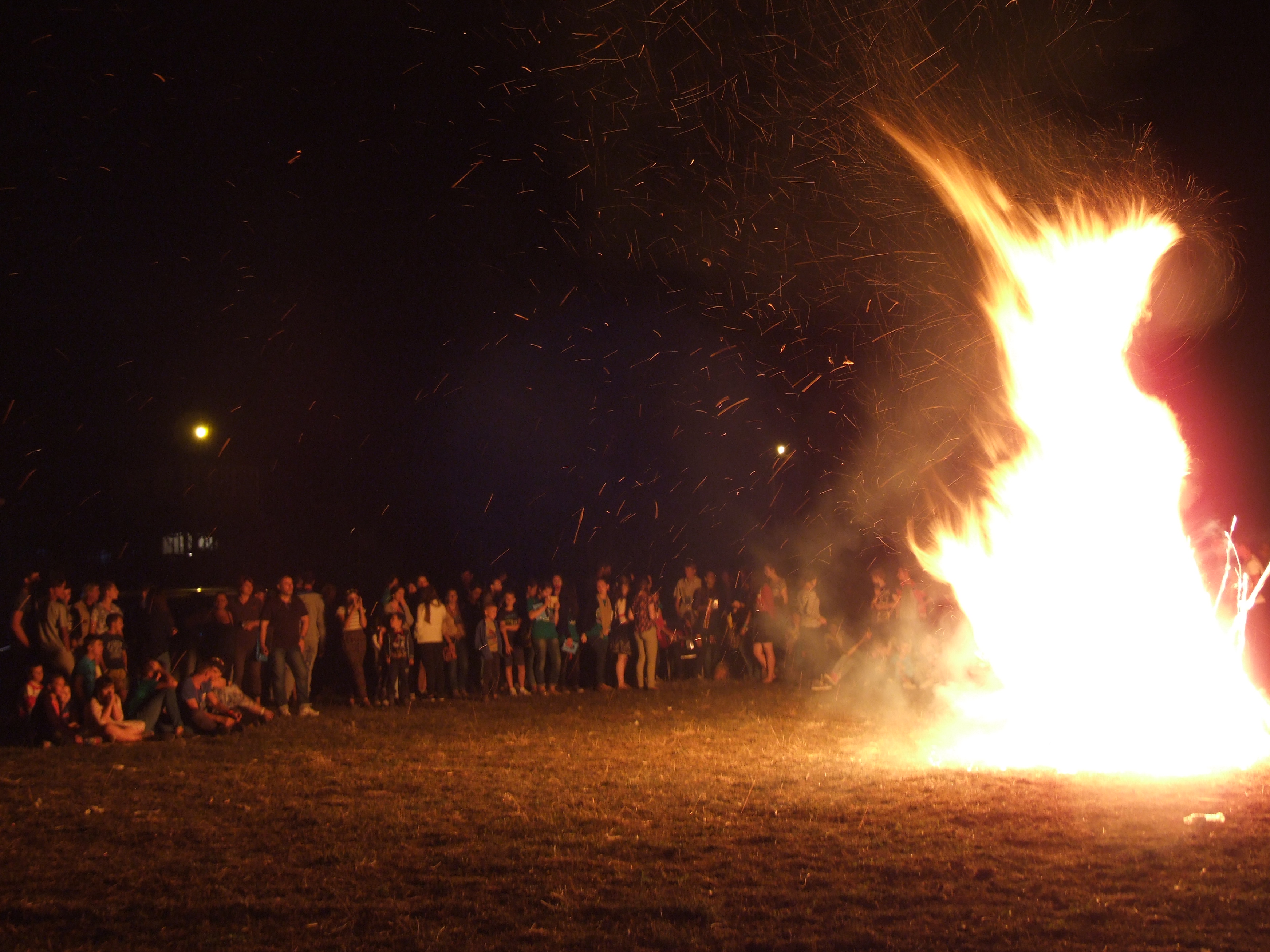 S-a încheiat a V-a ediţie a Masterclassului de la Zoiţani