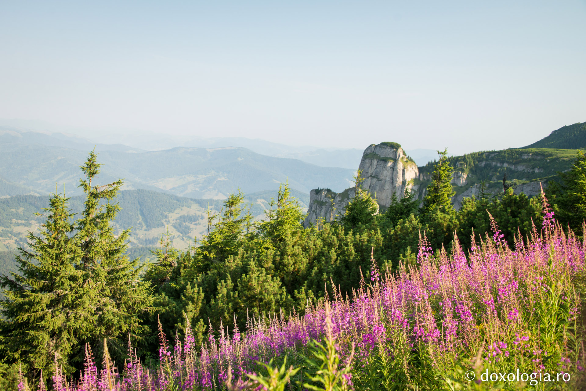 „De multe ori vine satana în pustie și te sperie, iar Dumnezeu îl îngăduie, ca noi să ne smerim mai mult”