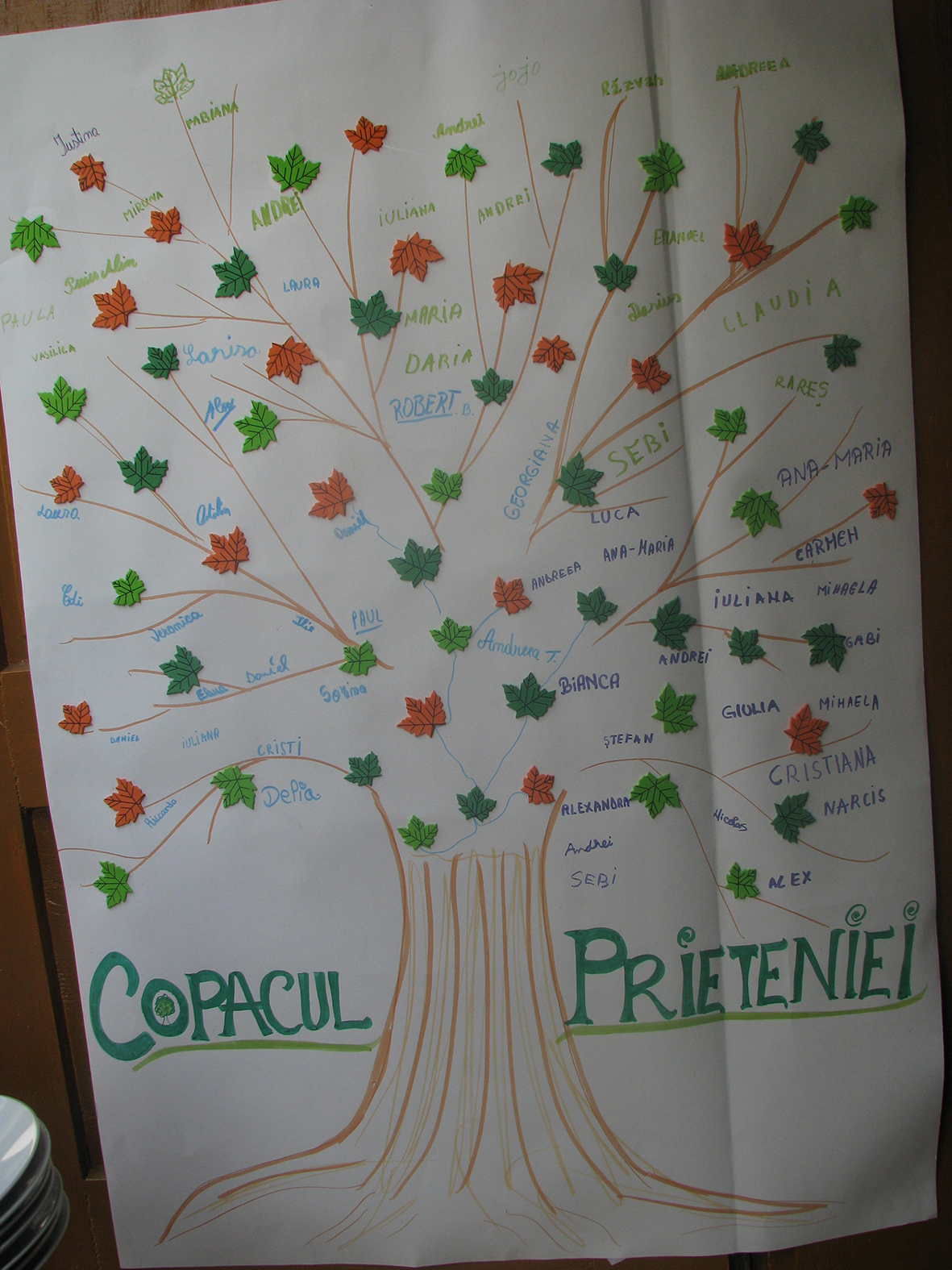 Copiii din Parohia Todireşti s-au aşezat sub un „nor de vară“