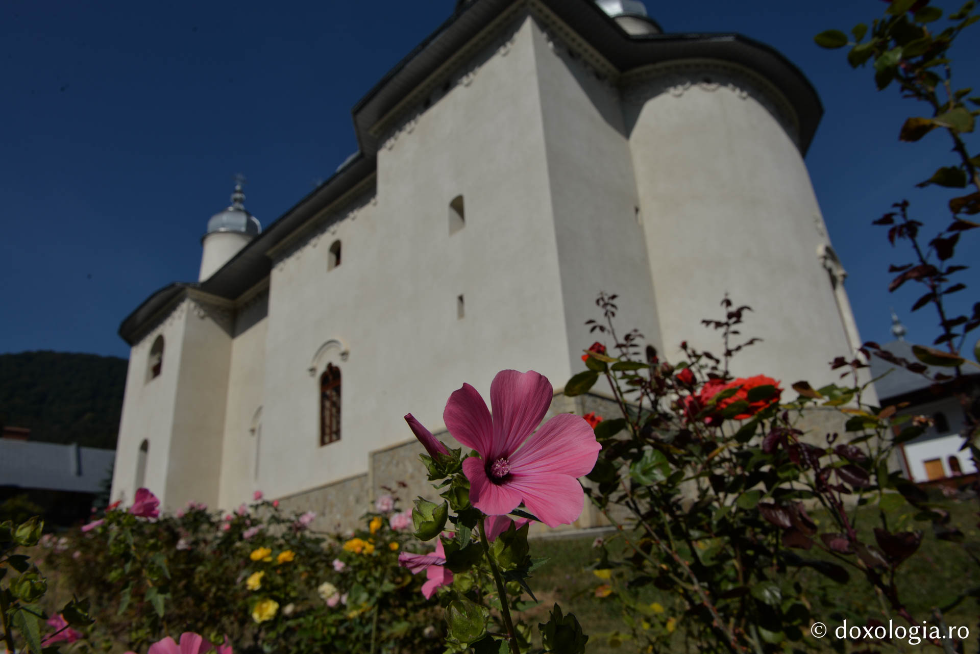 Viața Mănăstirii Horaița în timpul Cuvioșilor Irinarh Roset și Ermoghen Buhuș