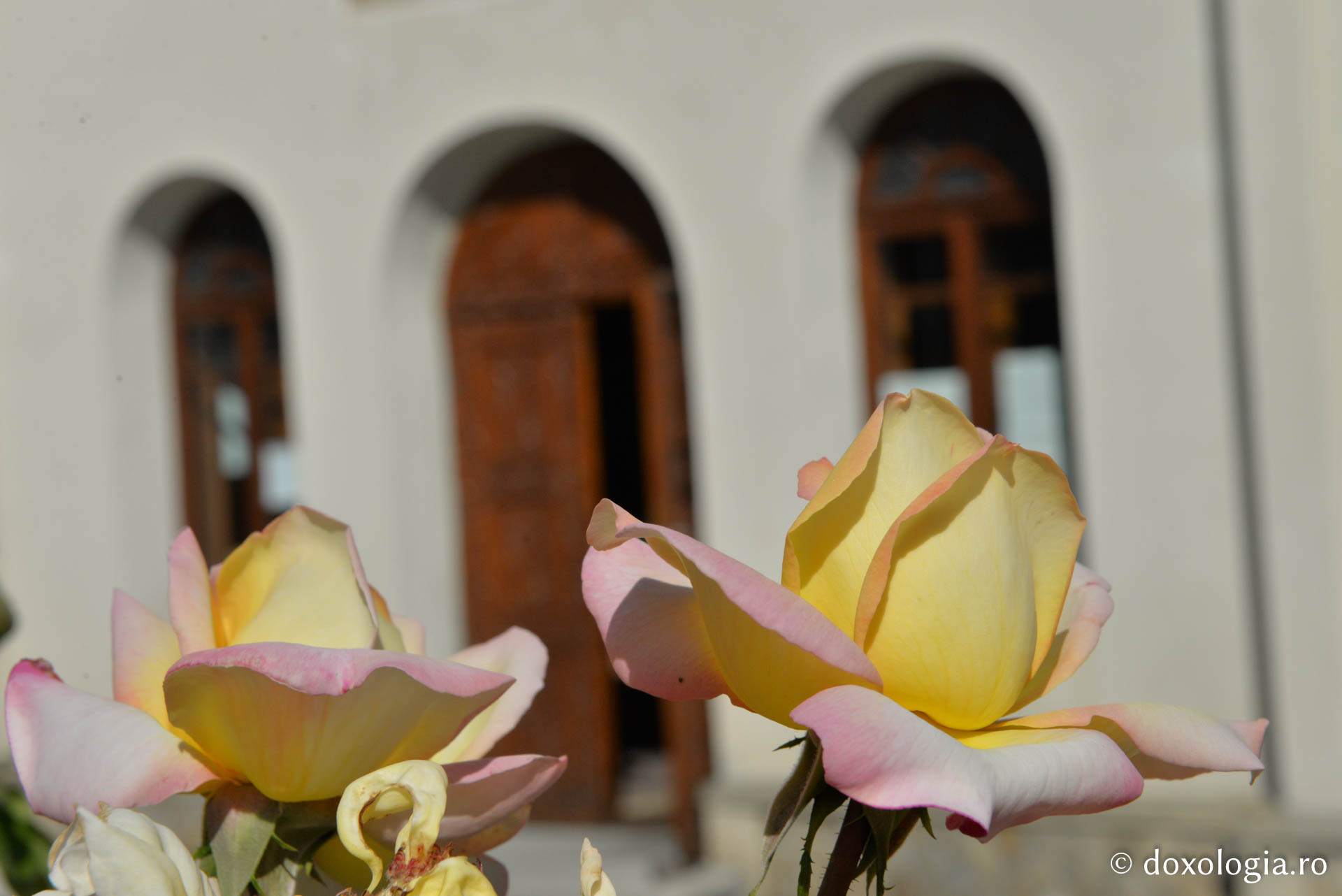 Arhitectura lăcașului de rugăciune al Mănăstirii Horaița